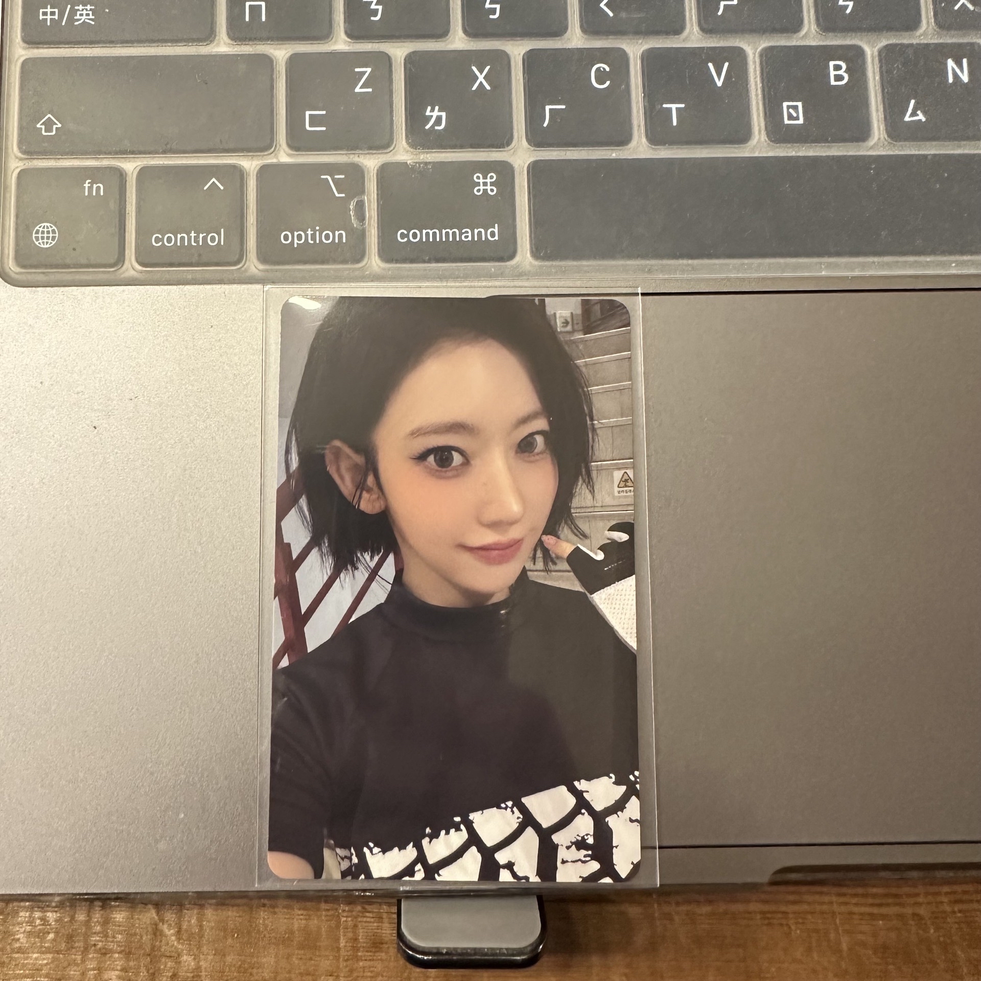 25‘巡迴 東蛋安可 入場卡 / 場限卡 Day1 櫻花