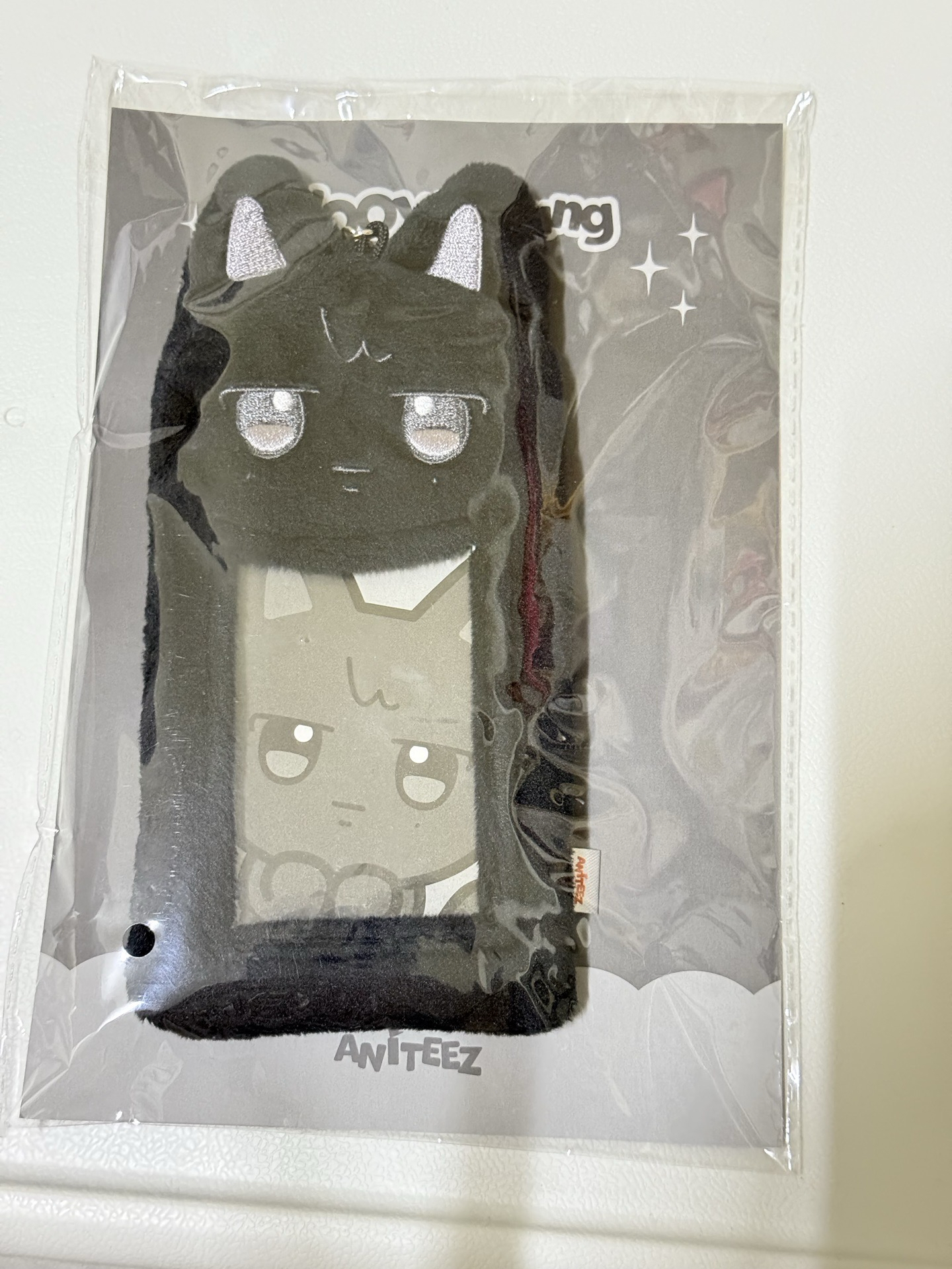 ANITEEZ IN ICE CITY 卡套含卡（榮）