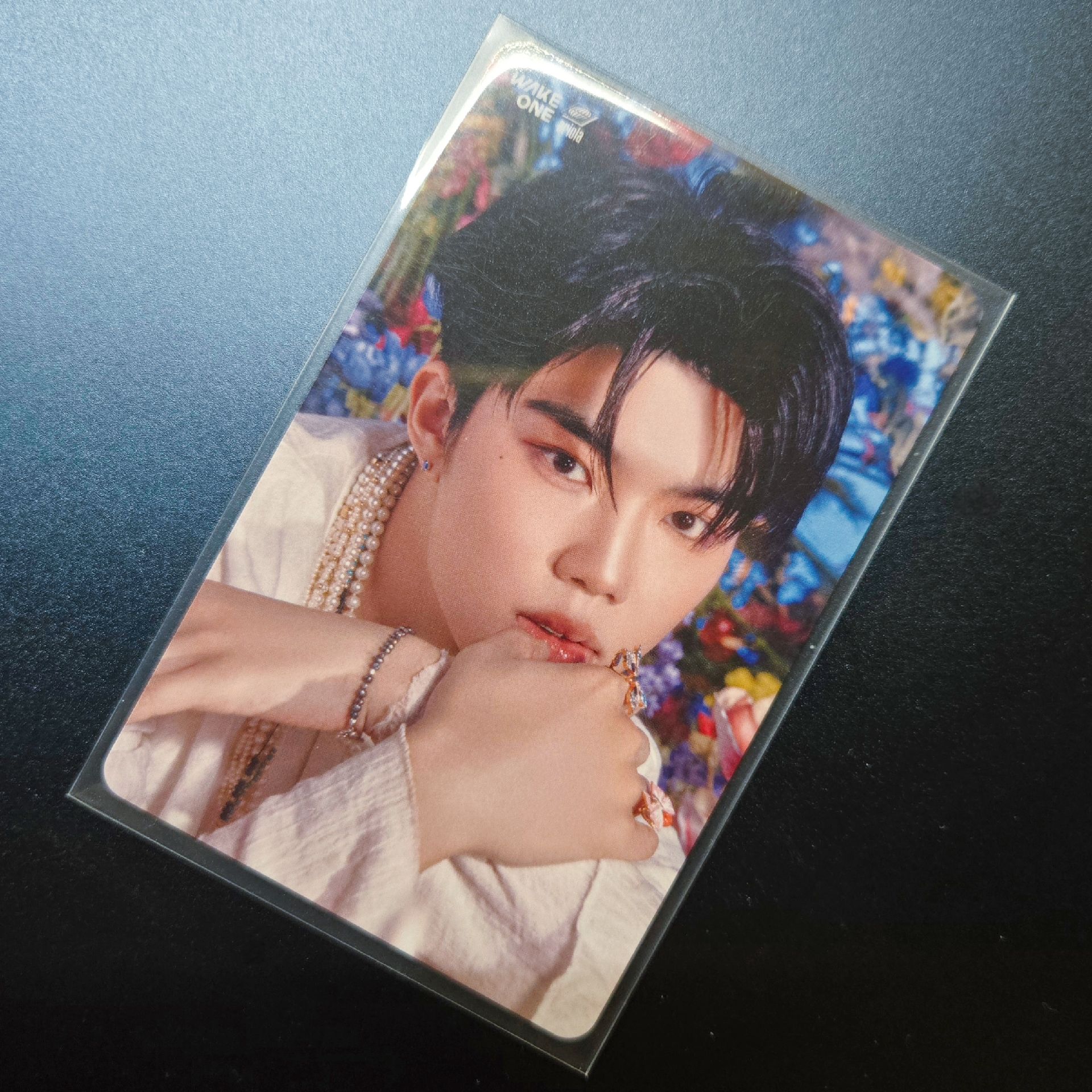 🩵ZB1 朴乾旭 日專 塔店官拍特典