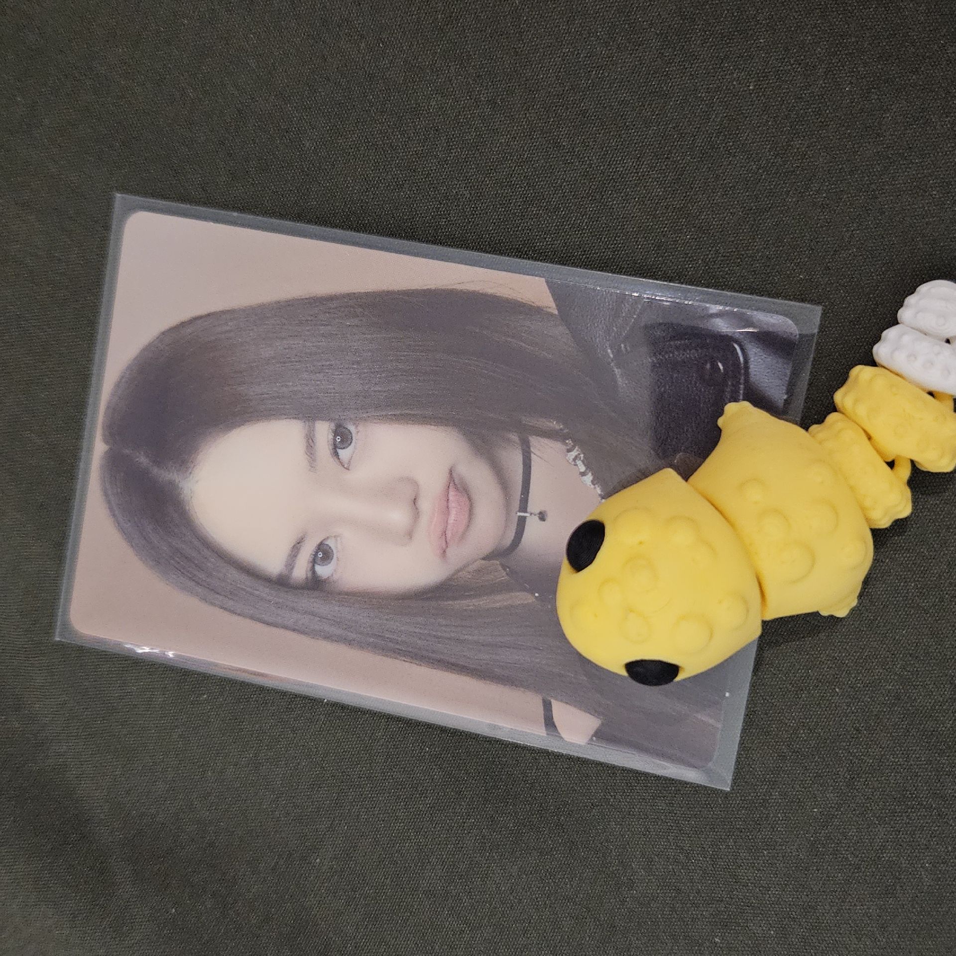 小鴨嘴貝🦆 專卡