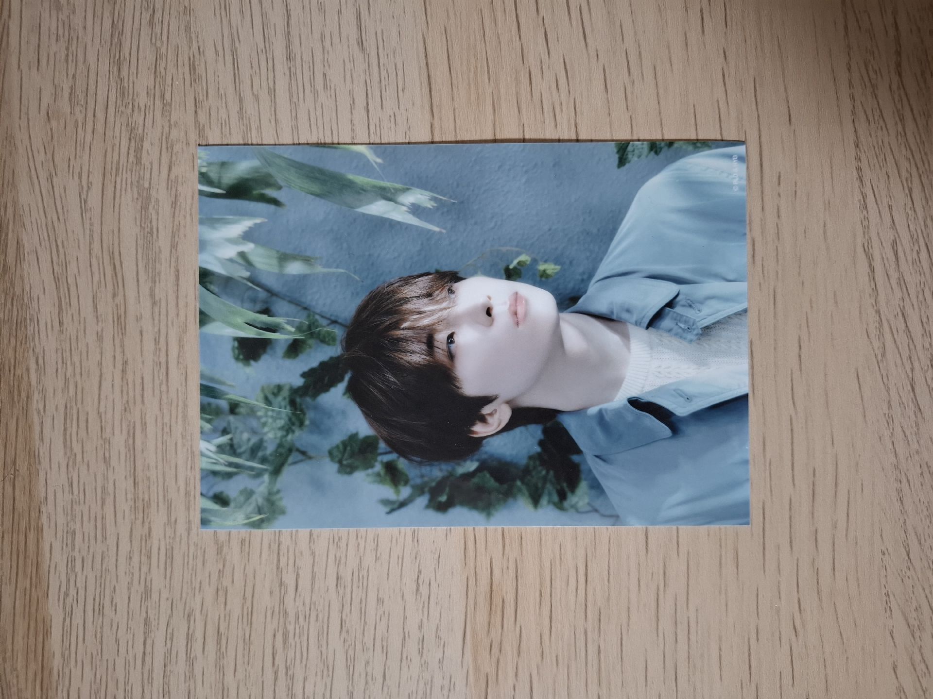 消費期限生寫-圓