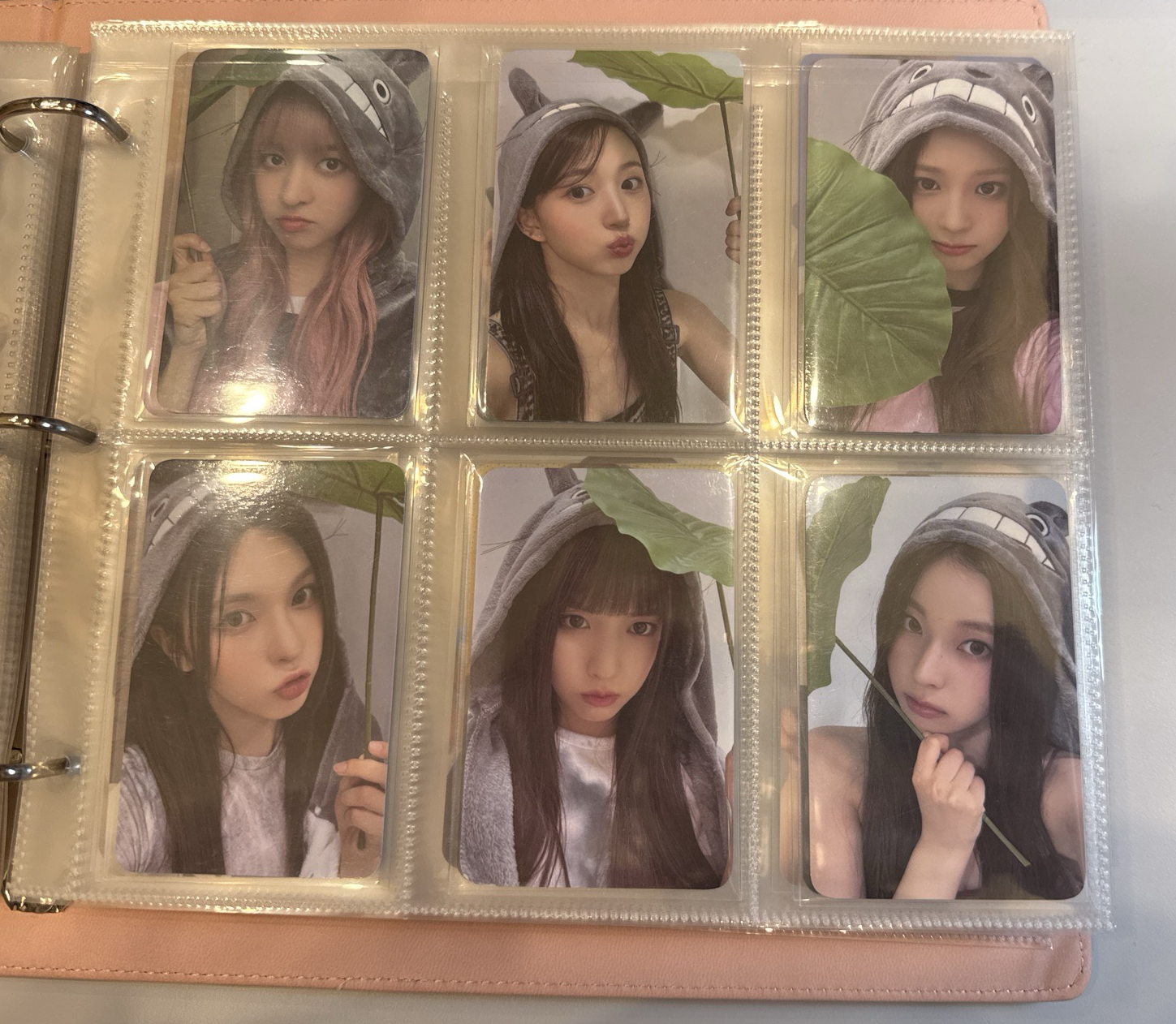 仲夏夜龍貓一套