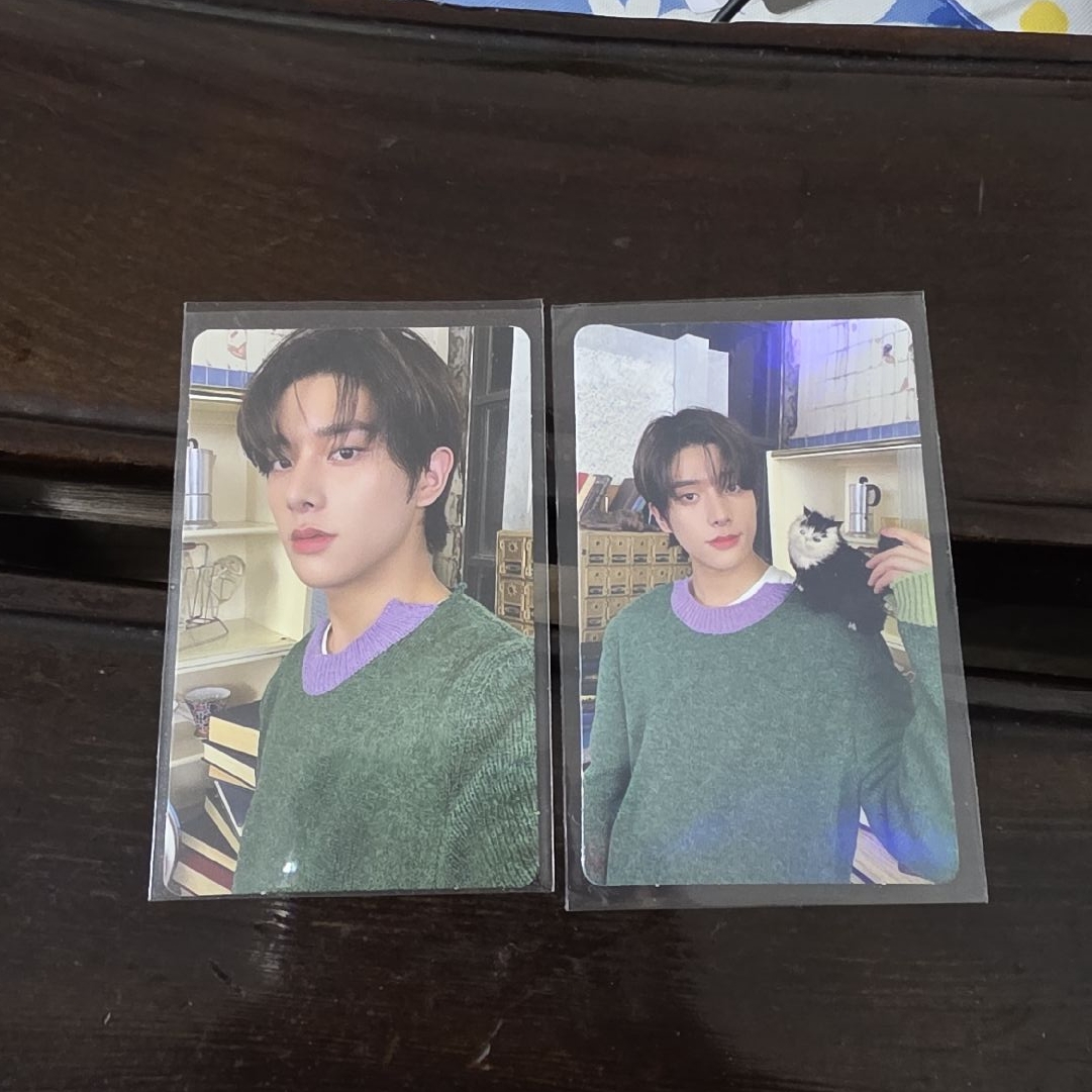 正一綠一專卡2張