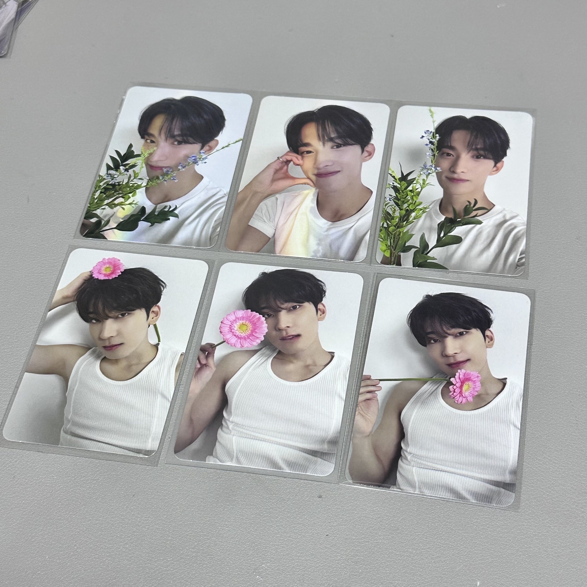 圓碩克拉盤（不當綁）