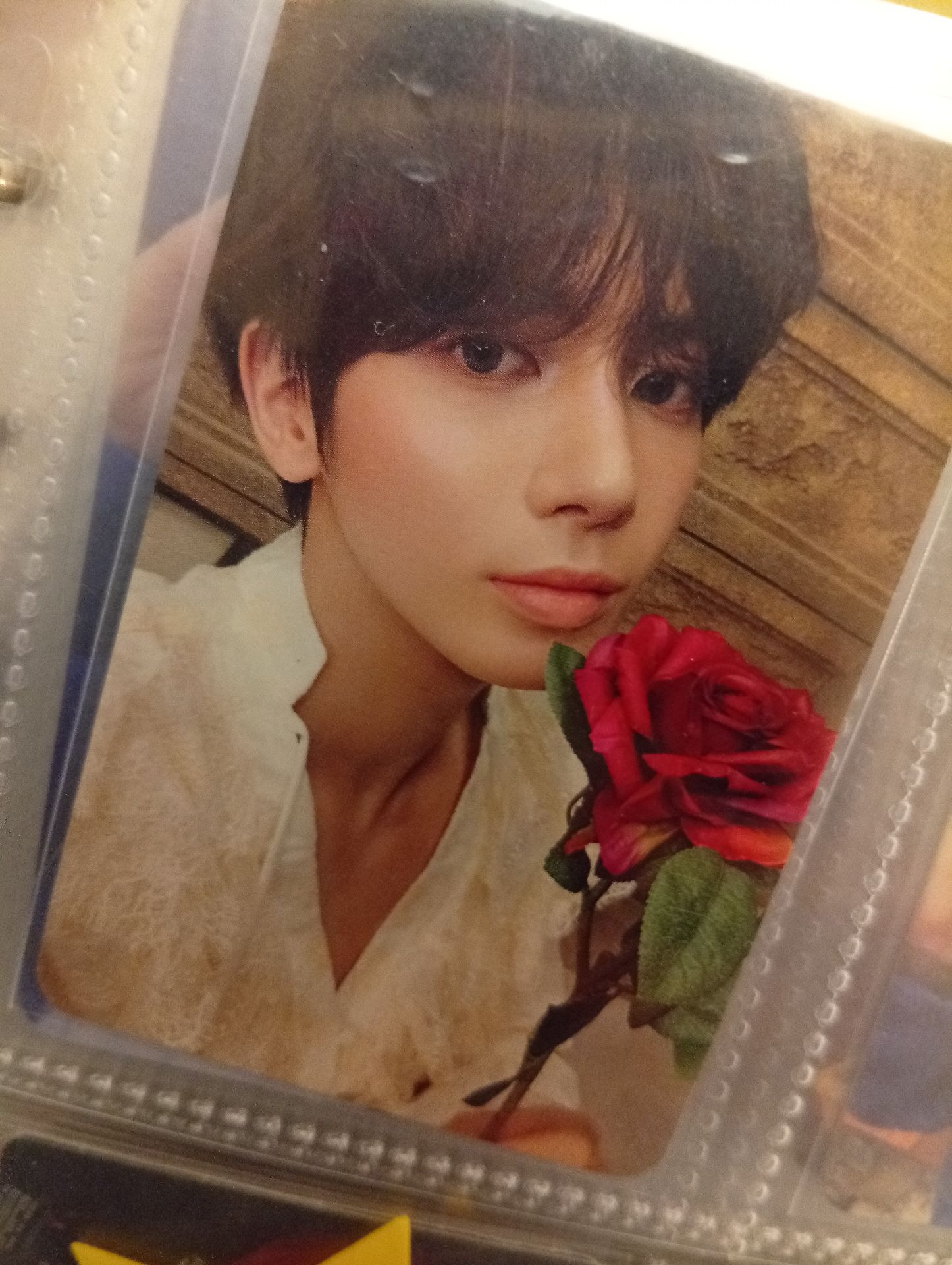 迷六玫瑰顯~🌹