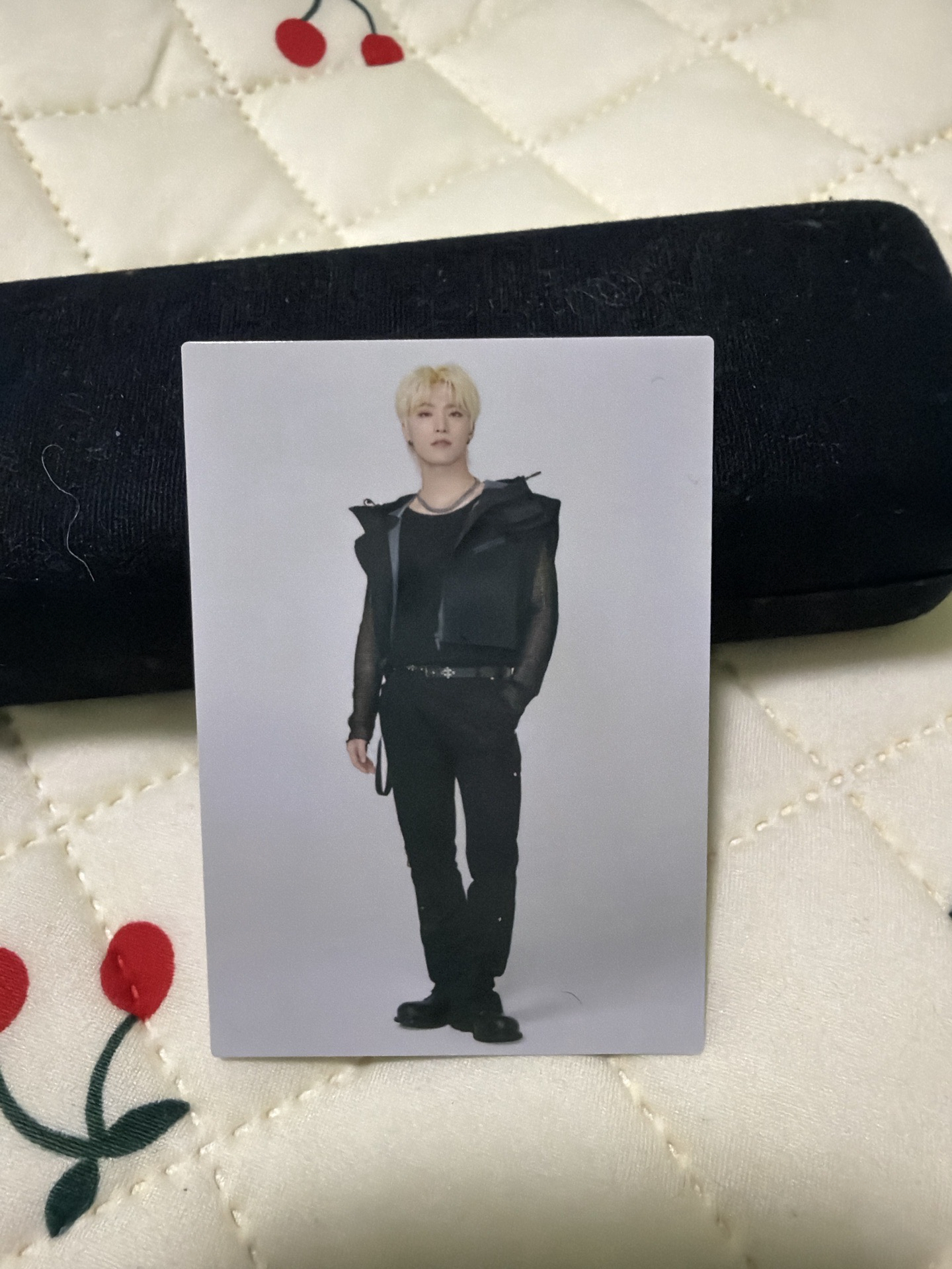 FOLLOW 隨機卡 燦 Dino🧡