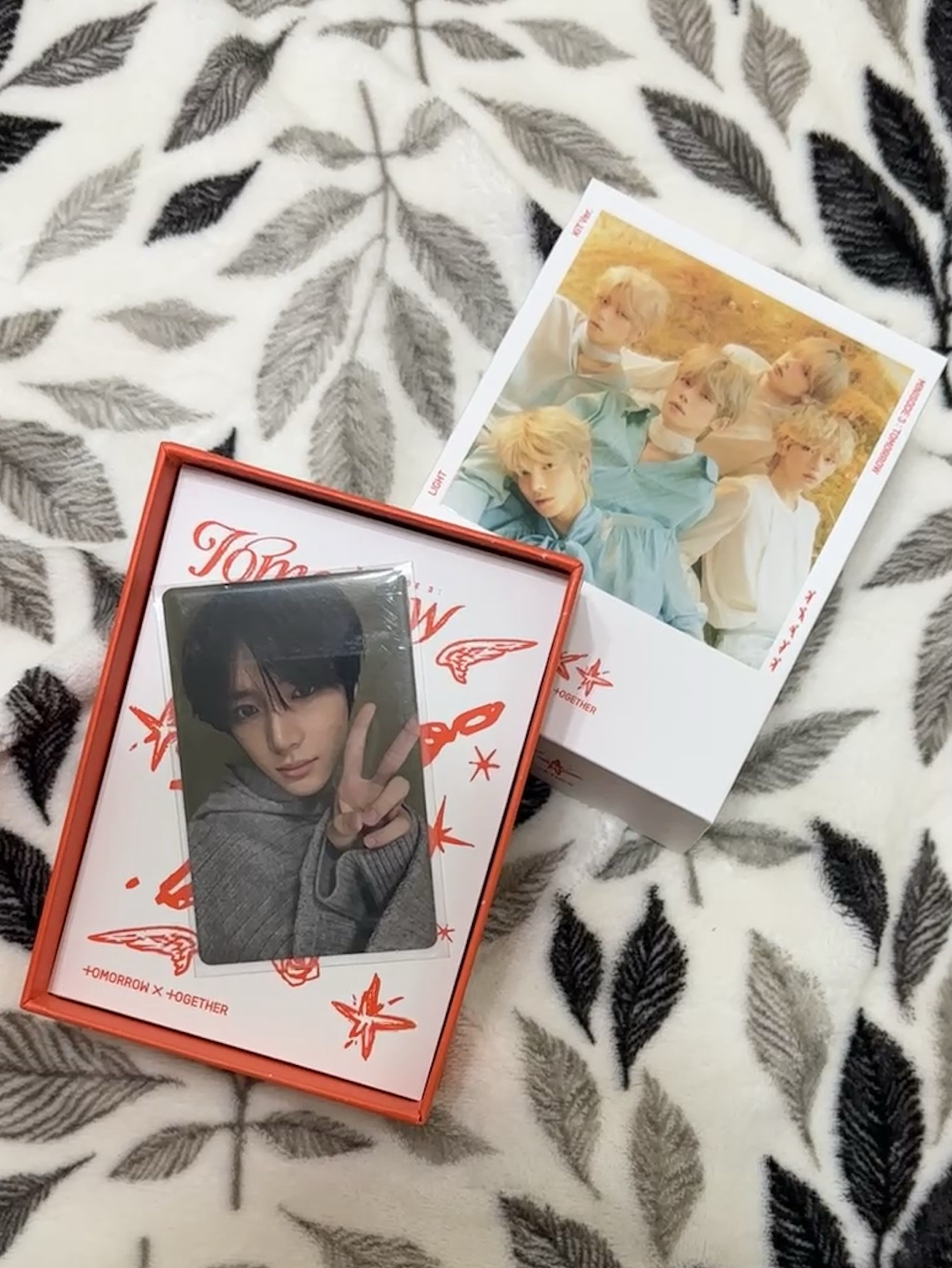 迷六 Kit專 圭卡 全專