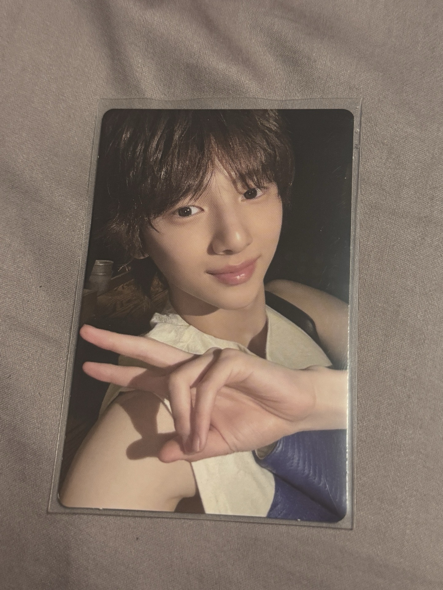 cortis target特典金主訓