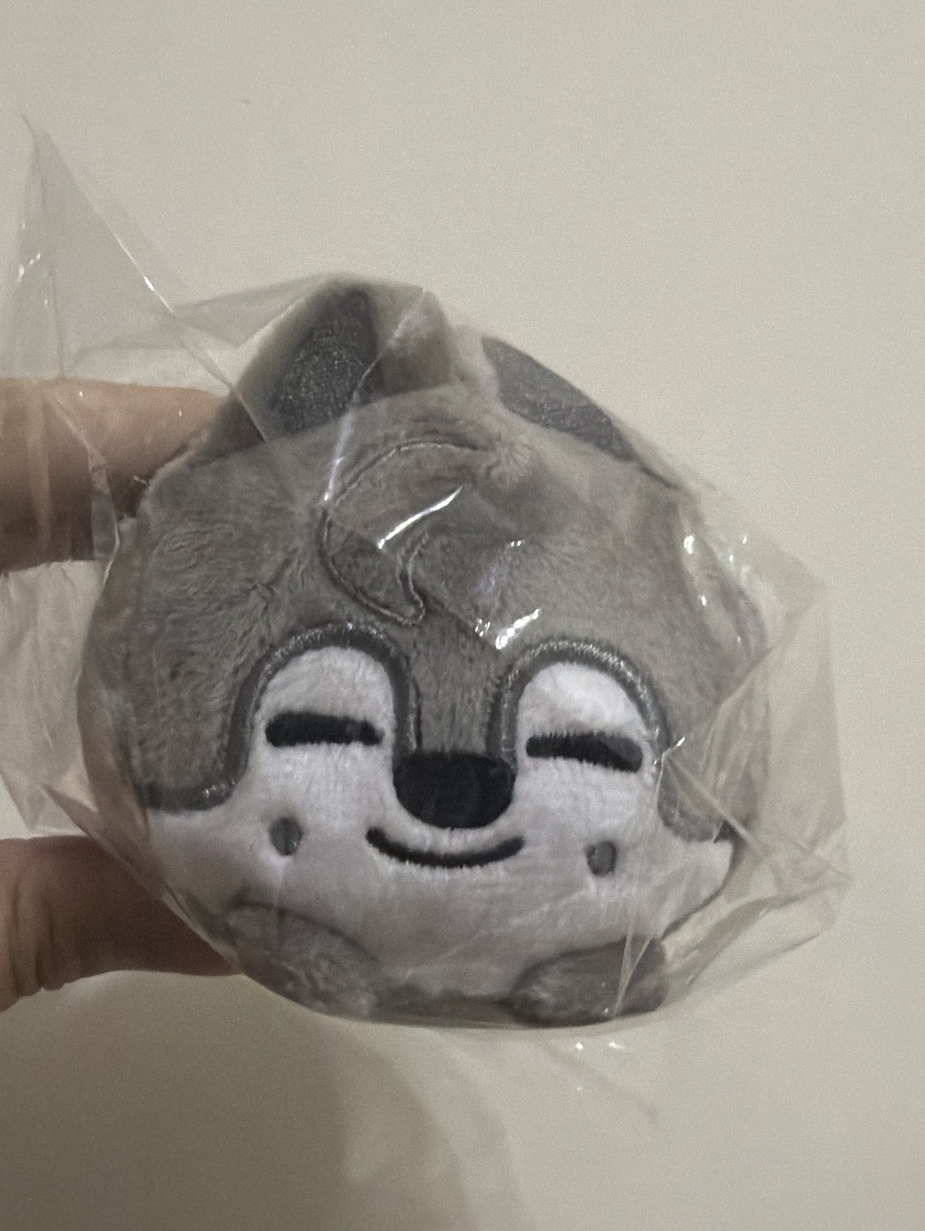 日本快閃 趴娃 燦