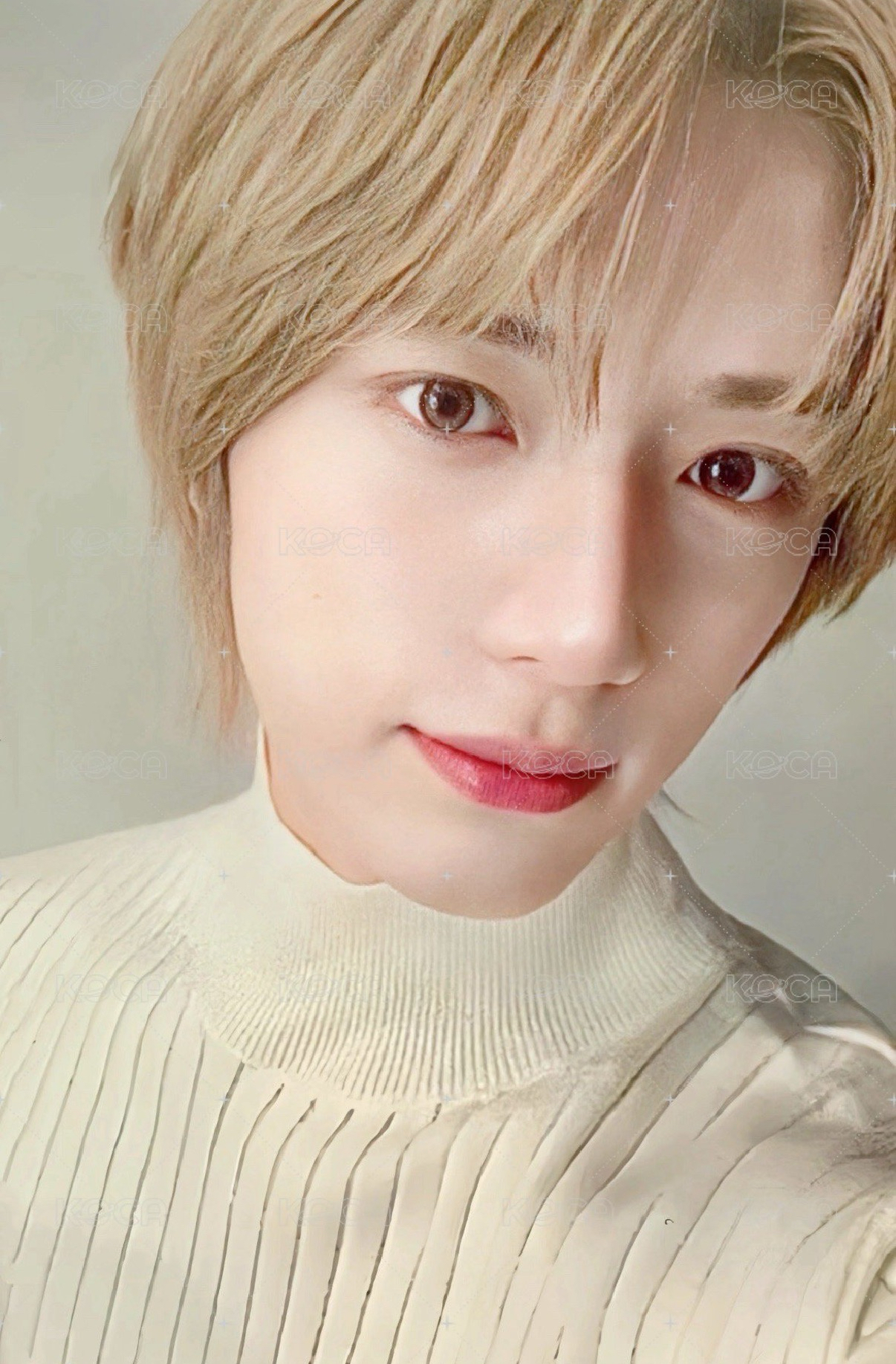 圭 迷七sc特典卡