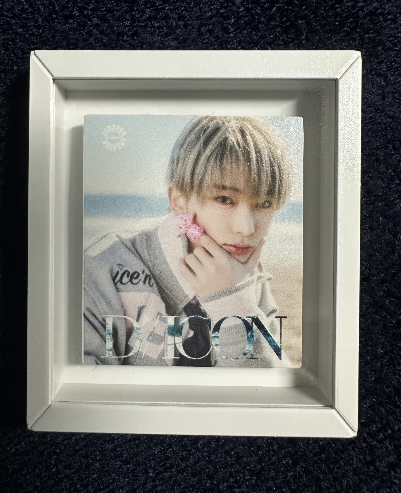 D社 A版/B版相片框磁鐵🐱🐰