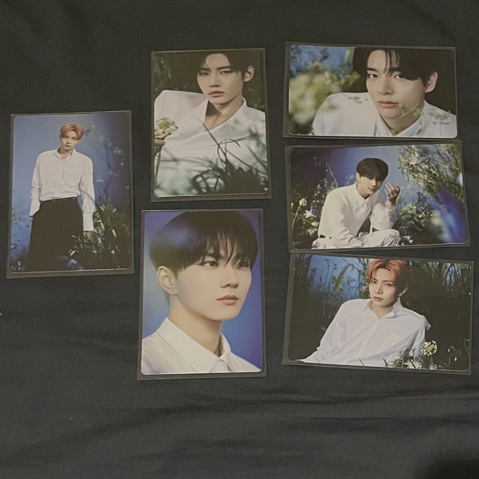 ENHYPEN WTL 隨機卡包 小卡