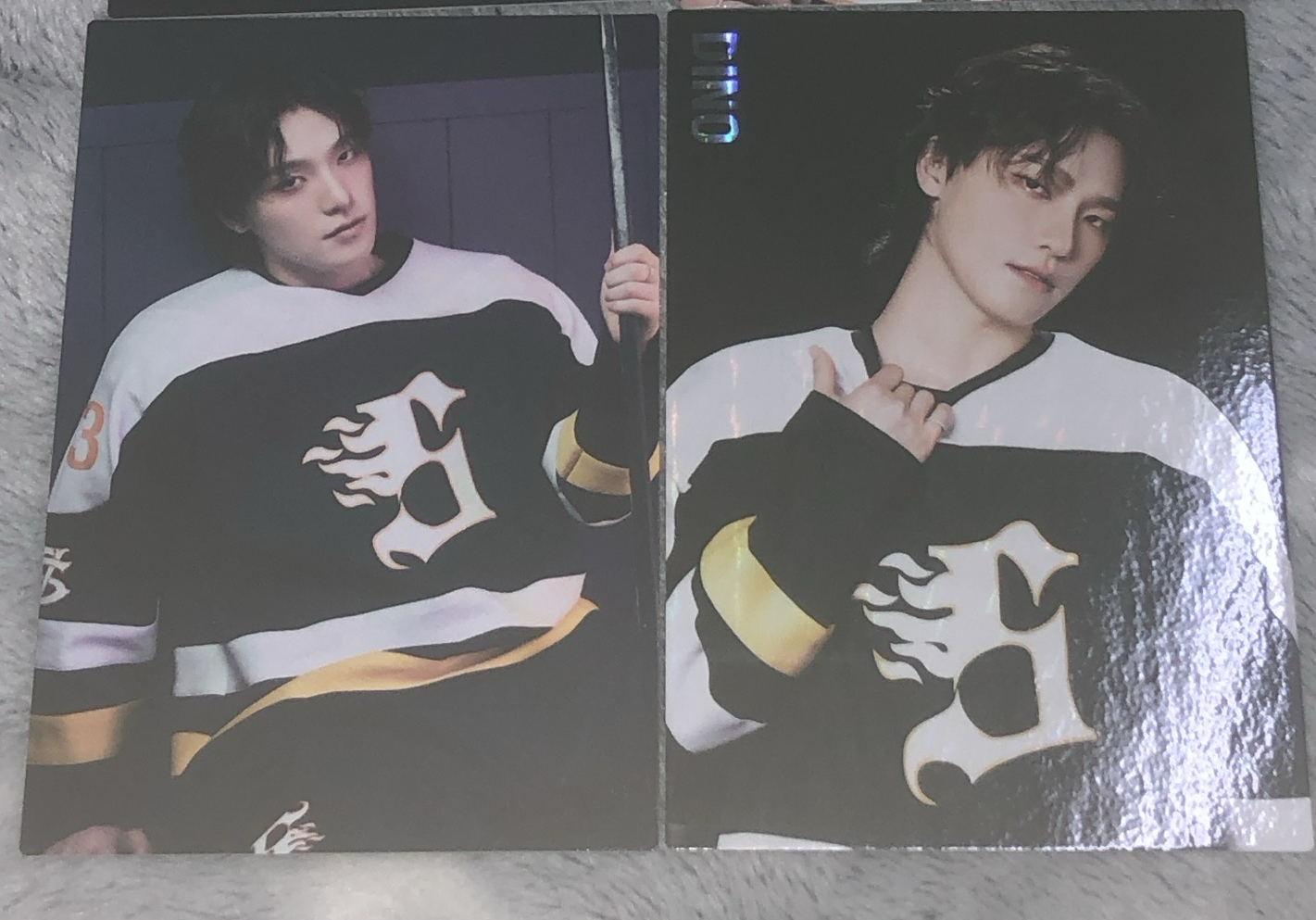 seventeen dino home卡包卡 整圖售