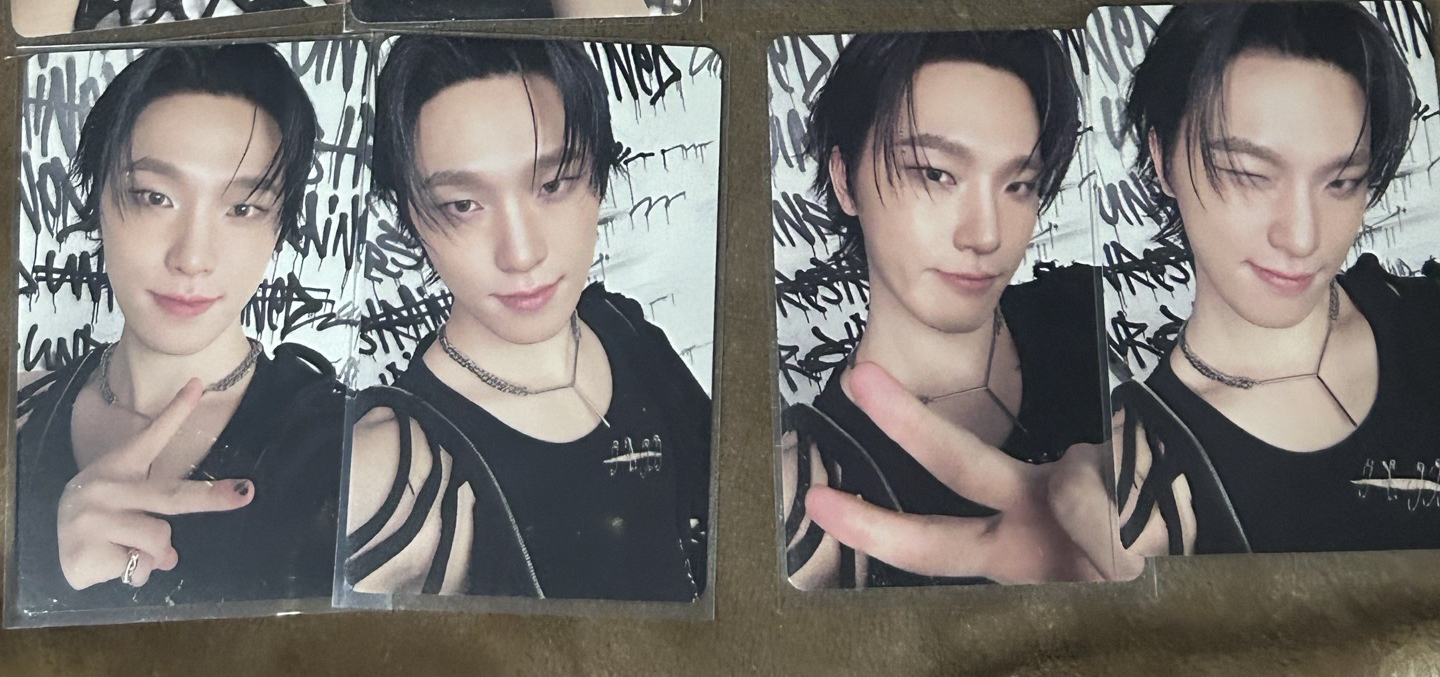 seventeen dino 克拉盤小卡 一套 整圖售