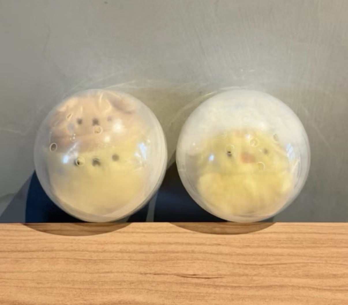 三麗鷗X Studio Haneul絨毛玩偶扭蛋