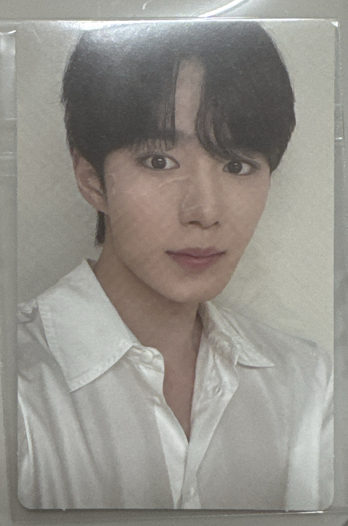 ALD1 男寶展覽卡（韓場）