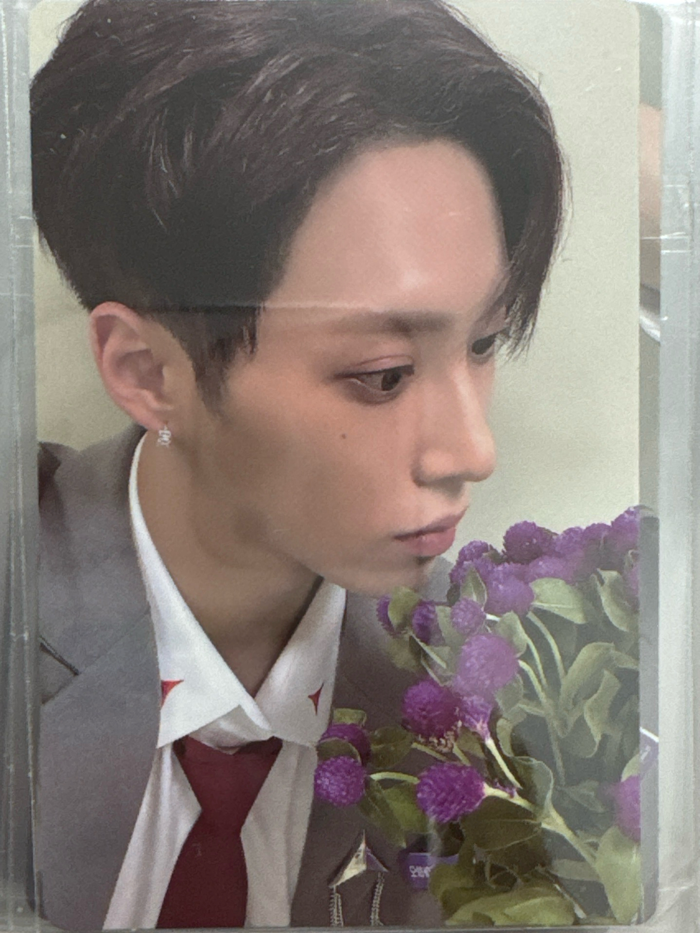 家豪男寶展覽卡二周八張（韓場）