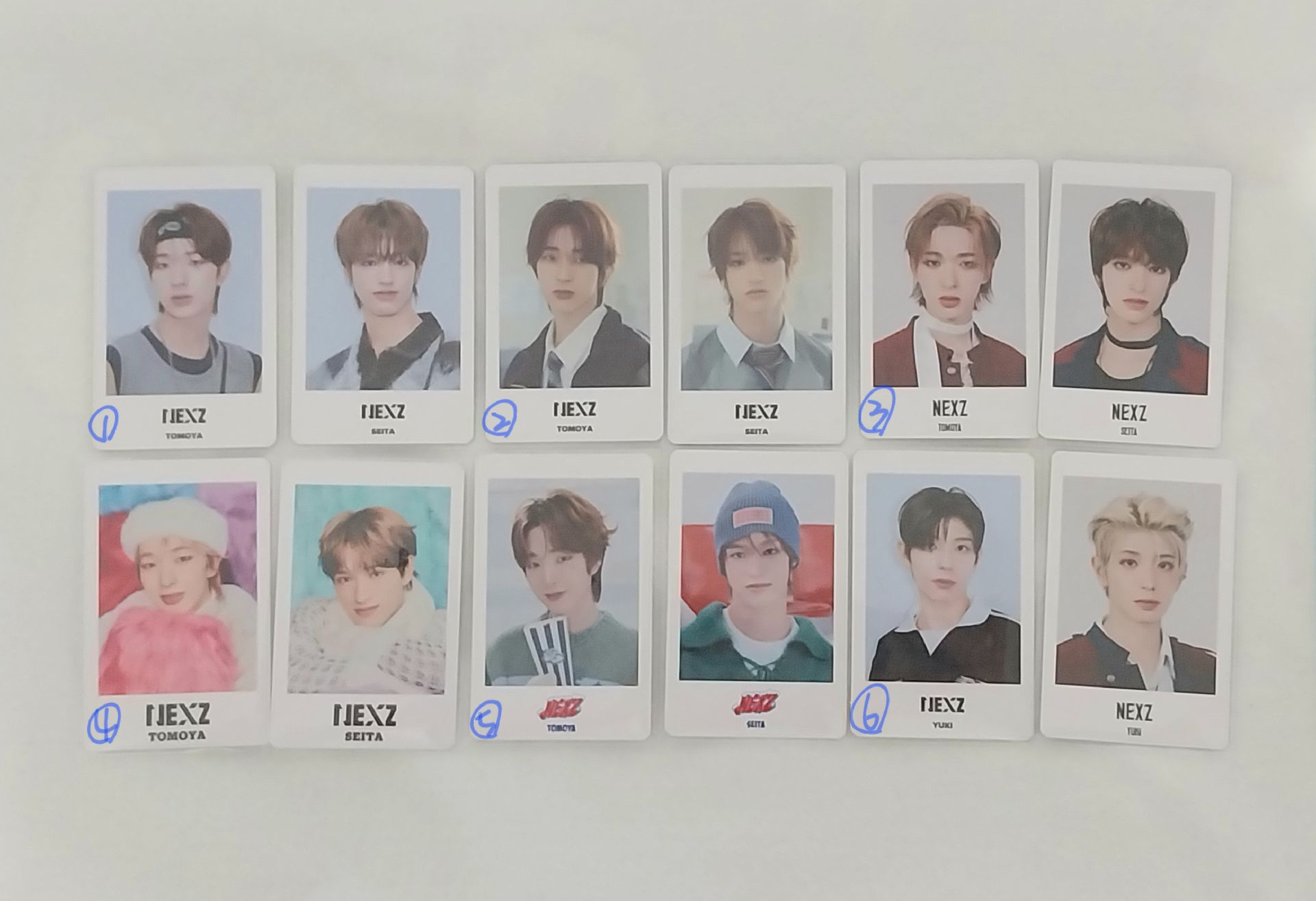 🐧🦌🦦小卡組