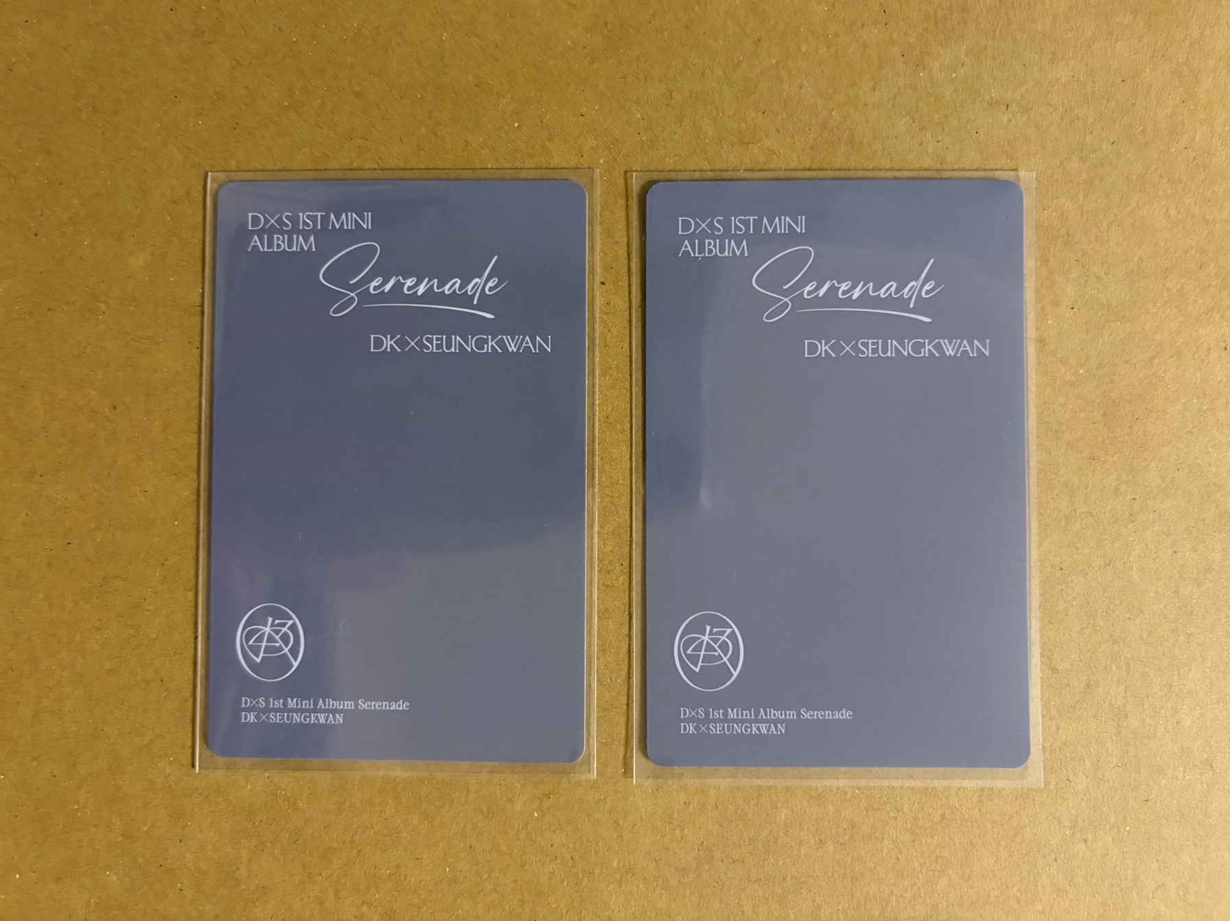 🤍DxS C盤碩專卡*2