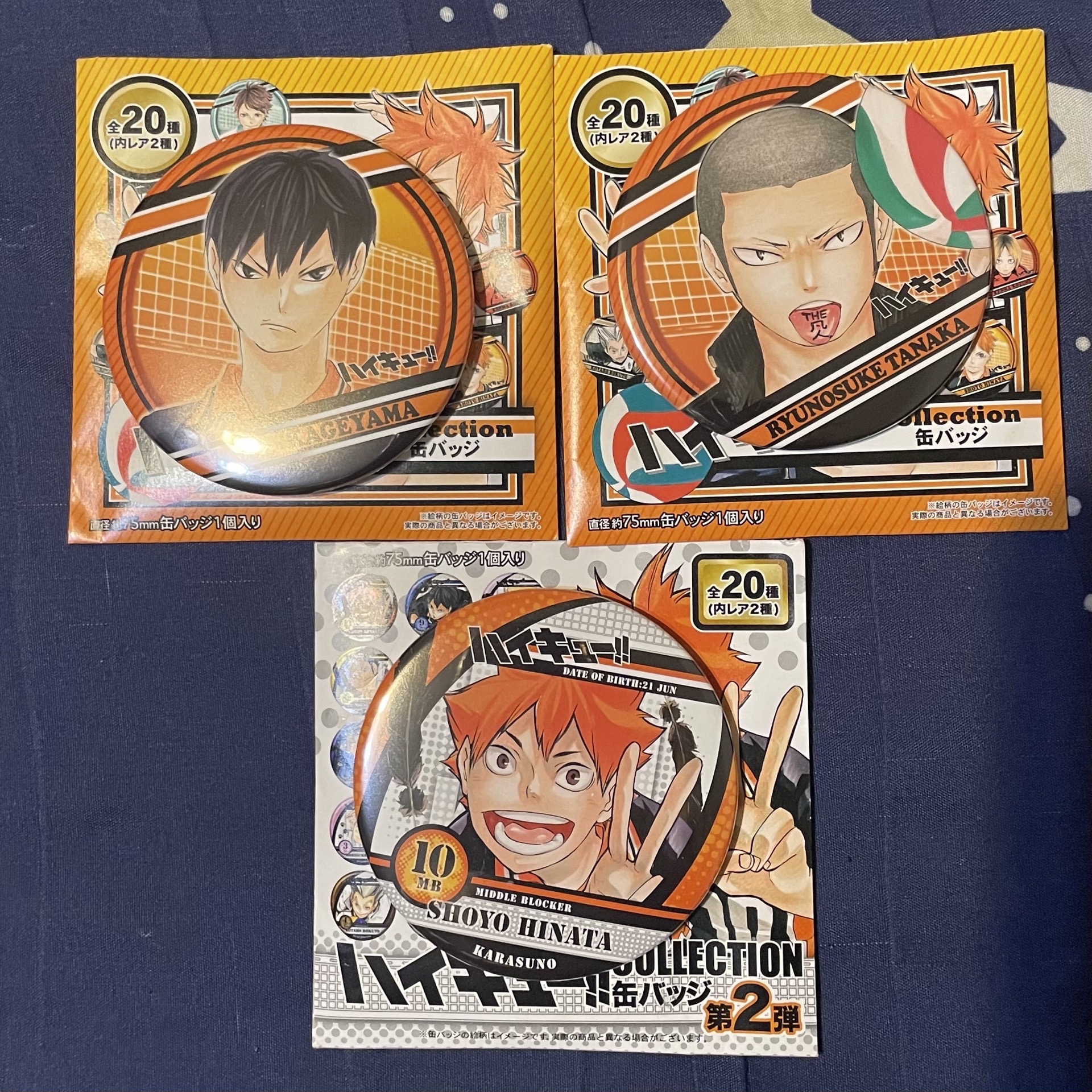 影山、日向、田中