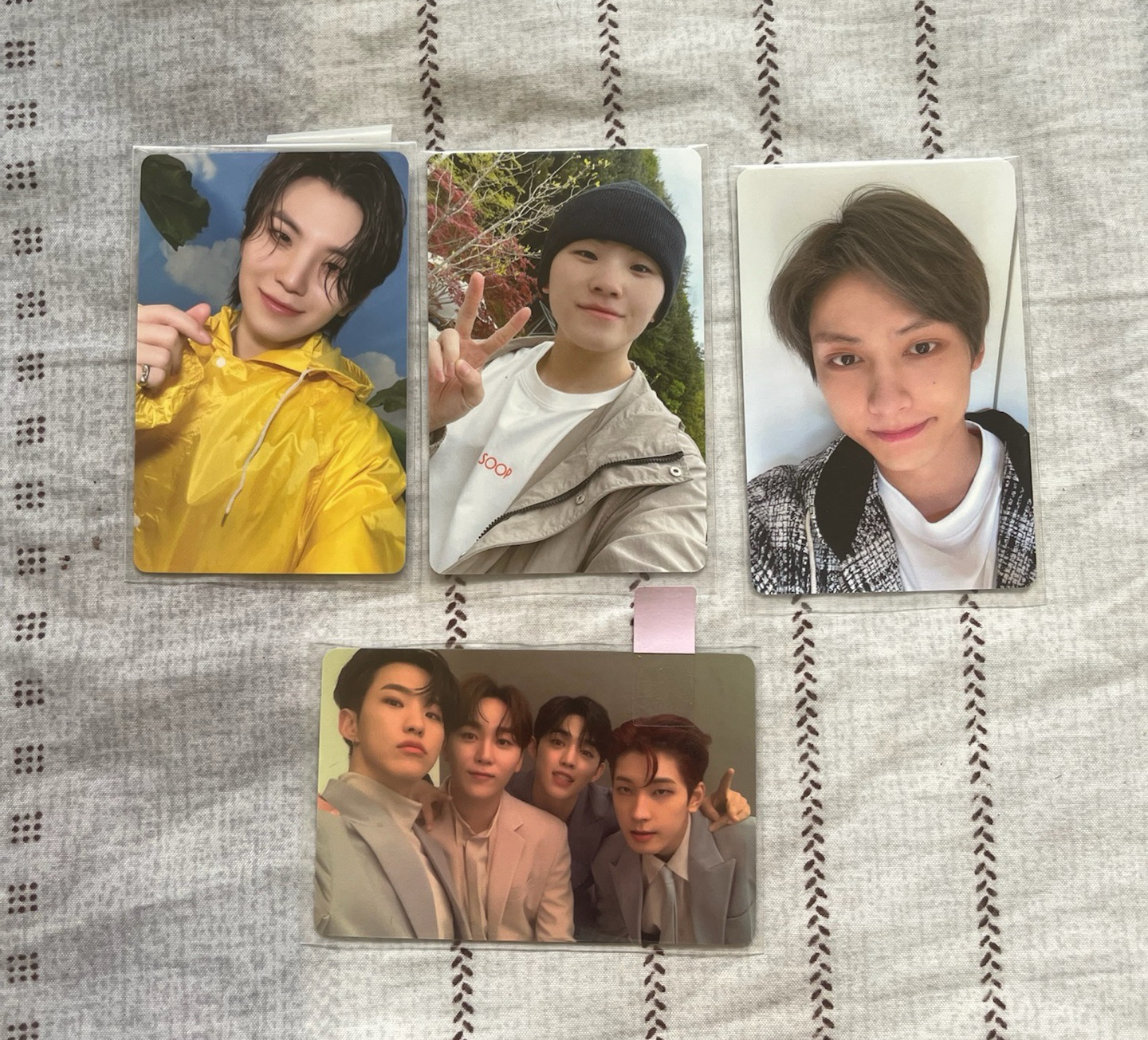 in the soop 勳俊大小貓小盤🐱