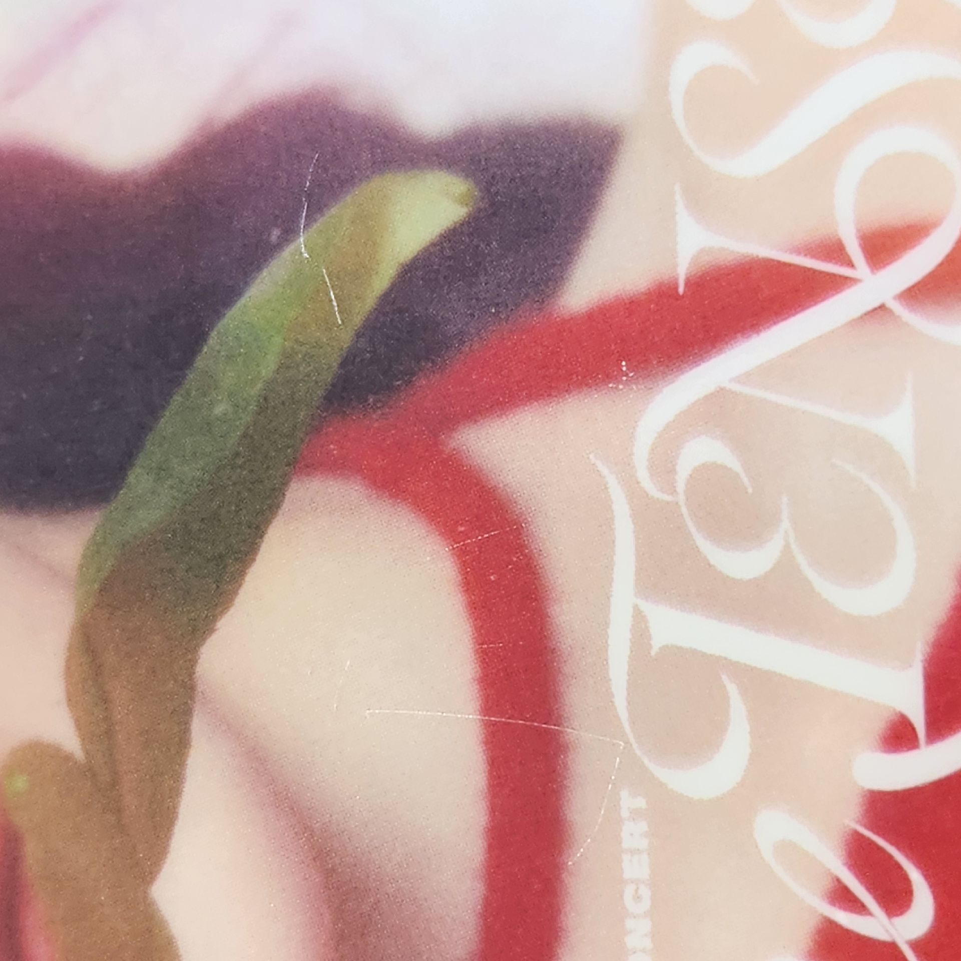 The TENSE 台北場限卡+電影院卡+香水卡