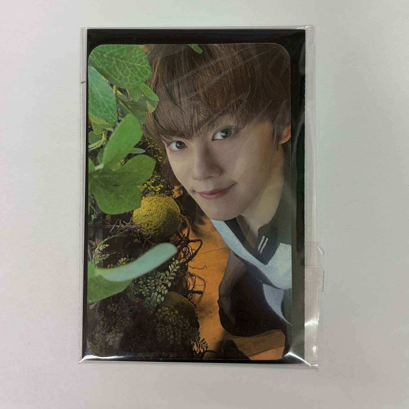 世巡TW 電影卡 第一週 奎彬