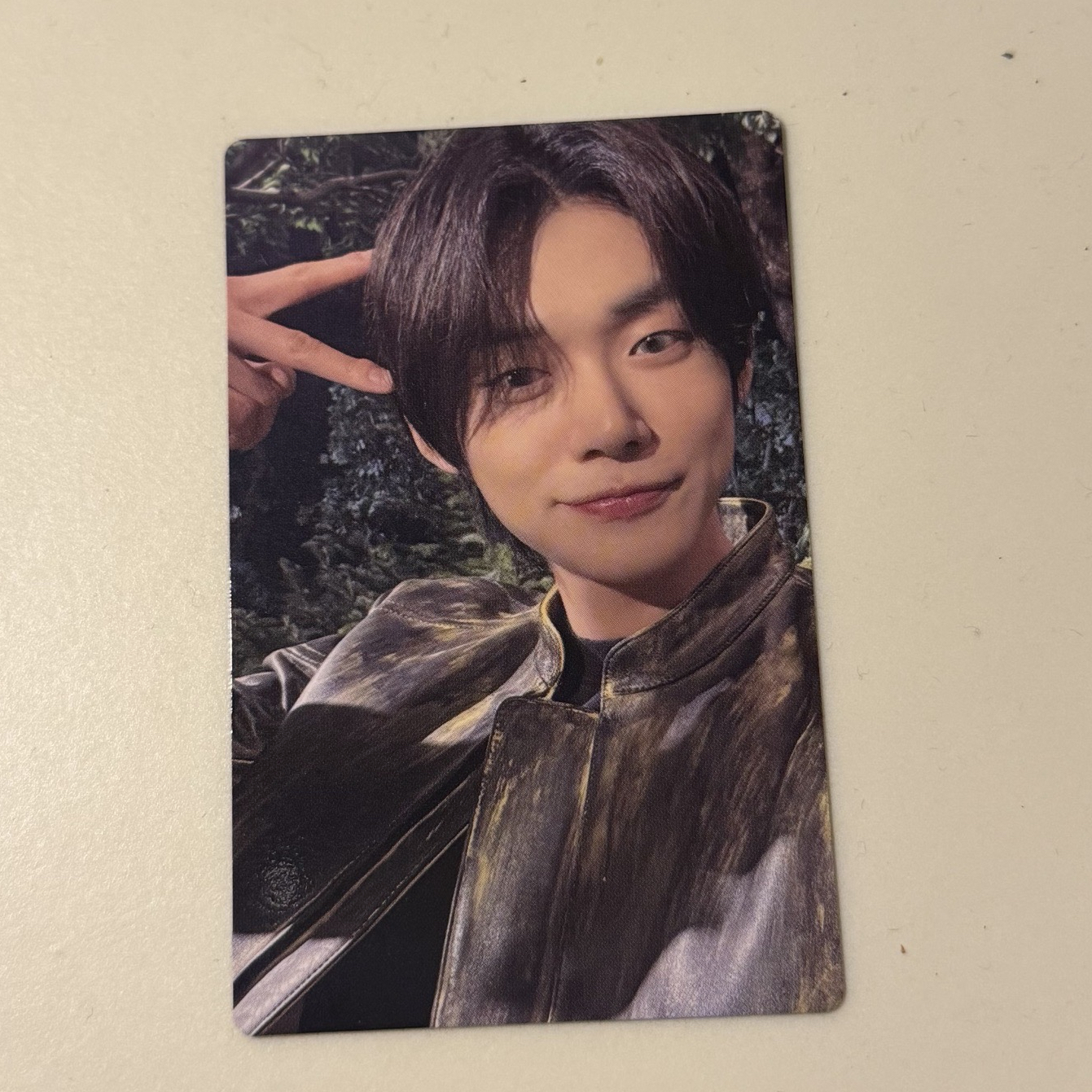 SWEET 7net 貓耳竣