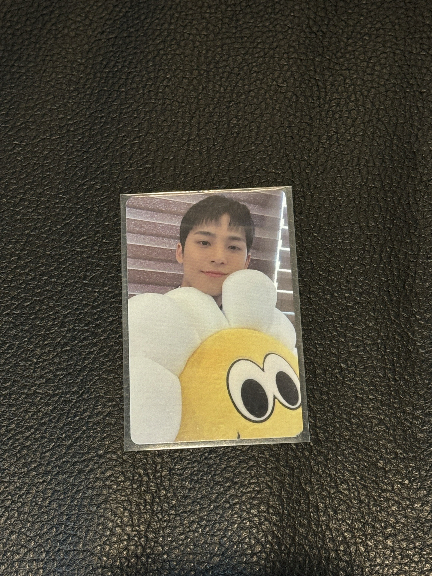 玟奎花花仁川場限