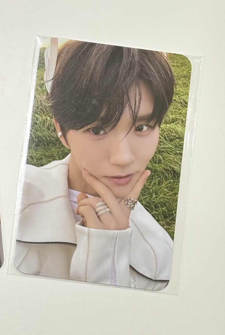 天使樹（日專特典）