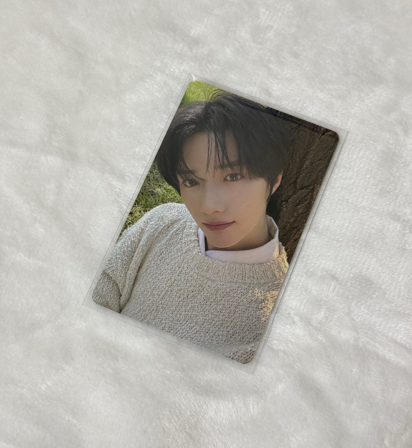 （保留中勿下單）四巡日場 MOA粽卡 圭