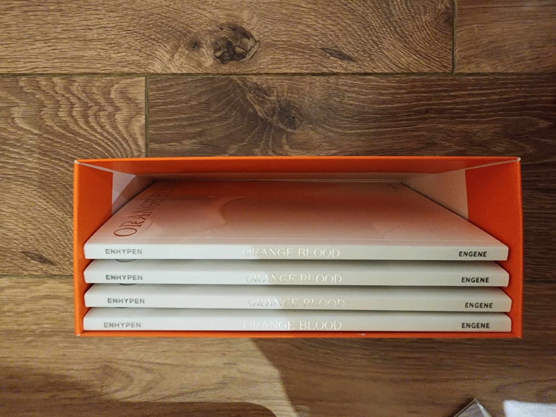 ENHYPEN 迷五 單封全專 含特典卡