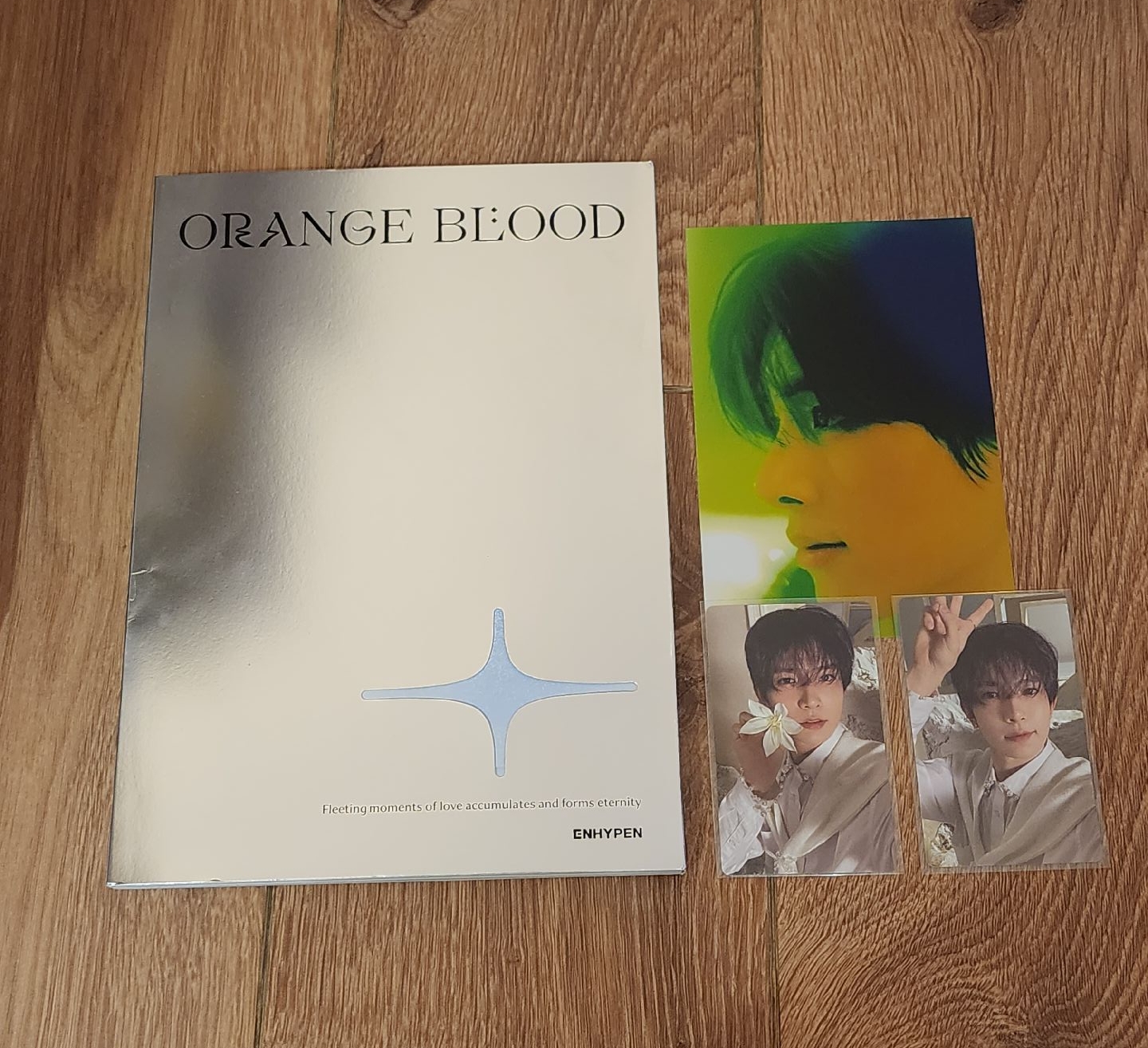 ENHYPEN 迷五 全專 羲承專卡