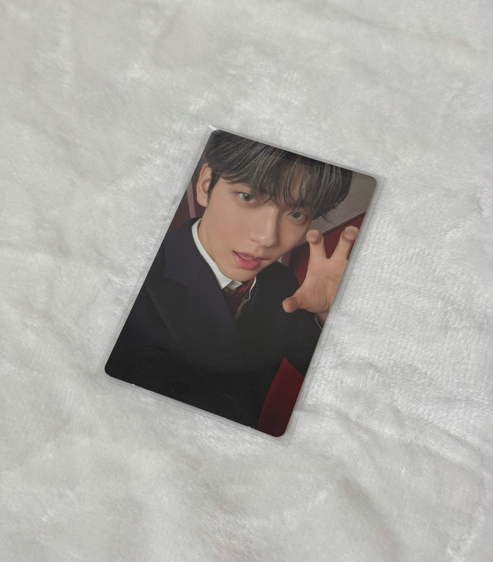 迷7 wvs特典 貓爪彬