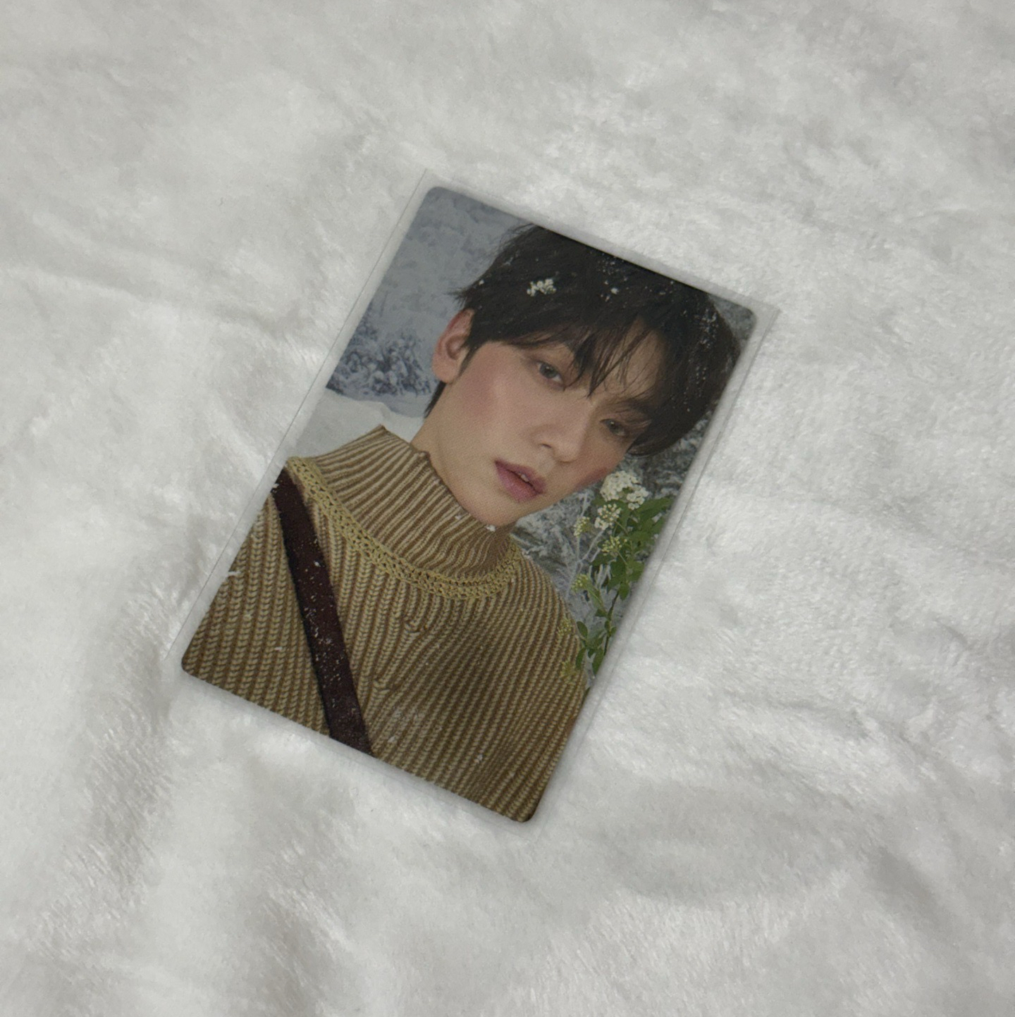 誓い 初回B版 彬