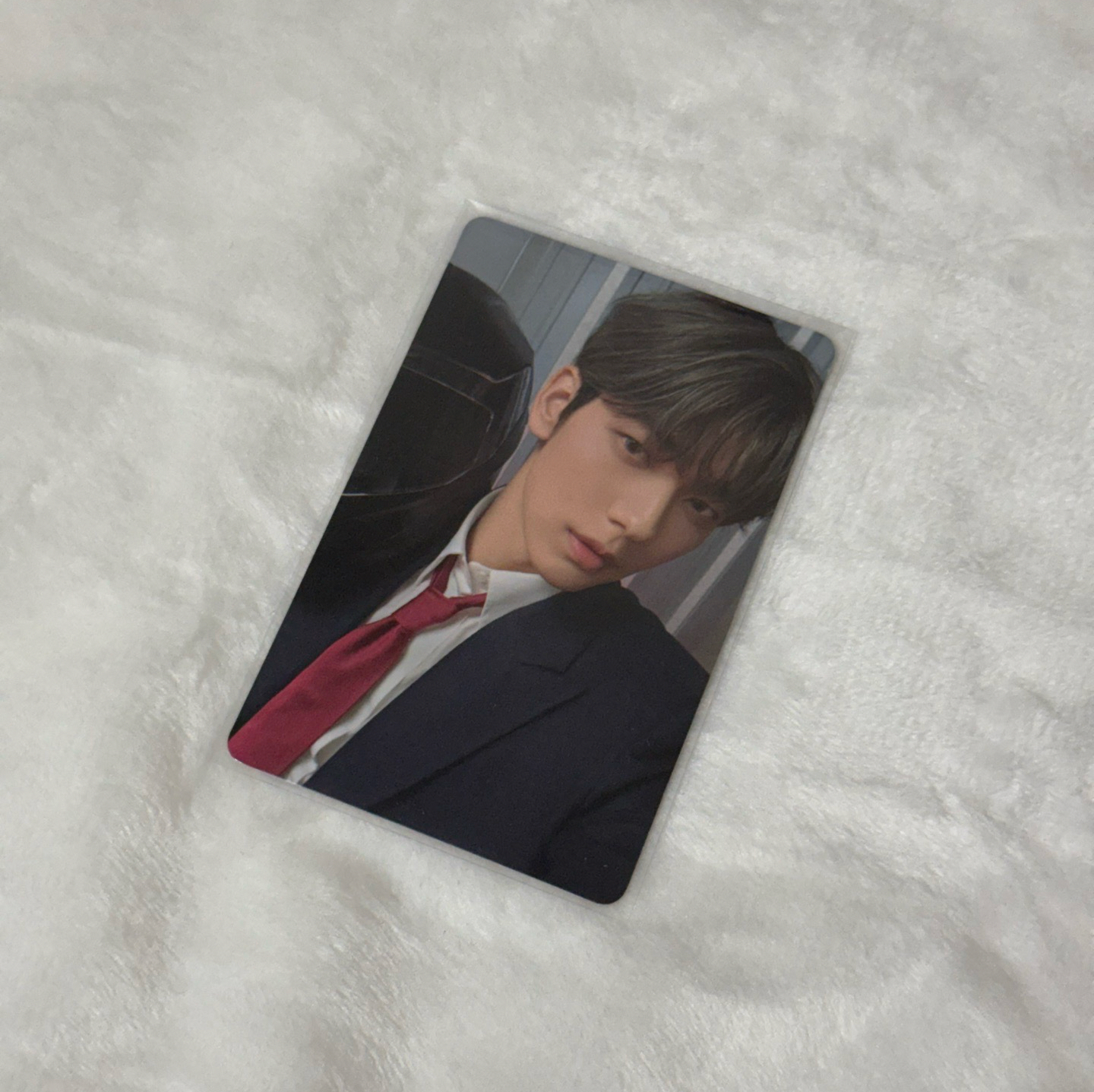 迷7 knight 騎士彬