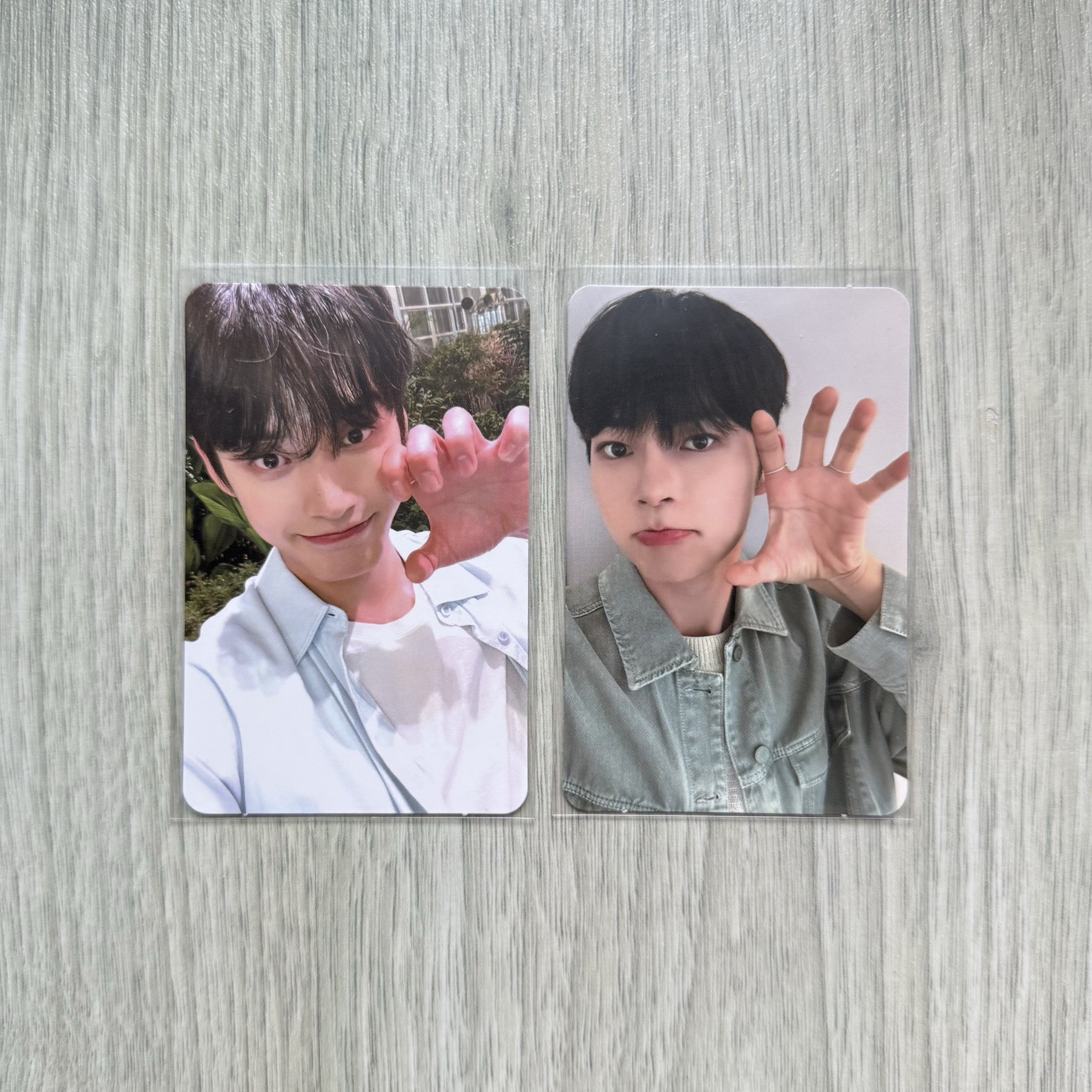 ZB1 迷一 sw 虎爪 LD