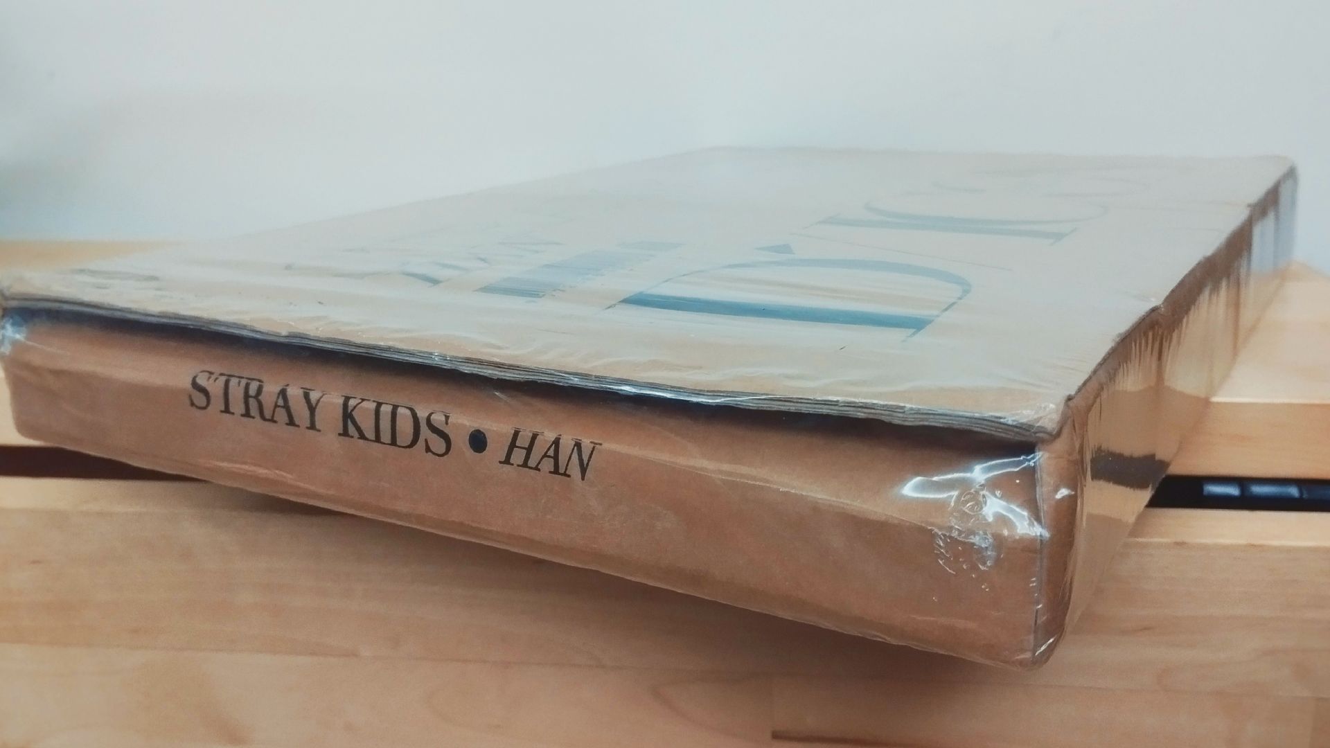 D社 10週年 寫真集 韓HAN (未拆)