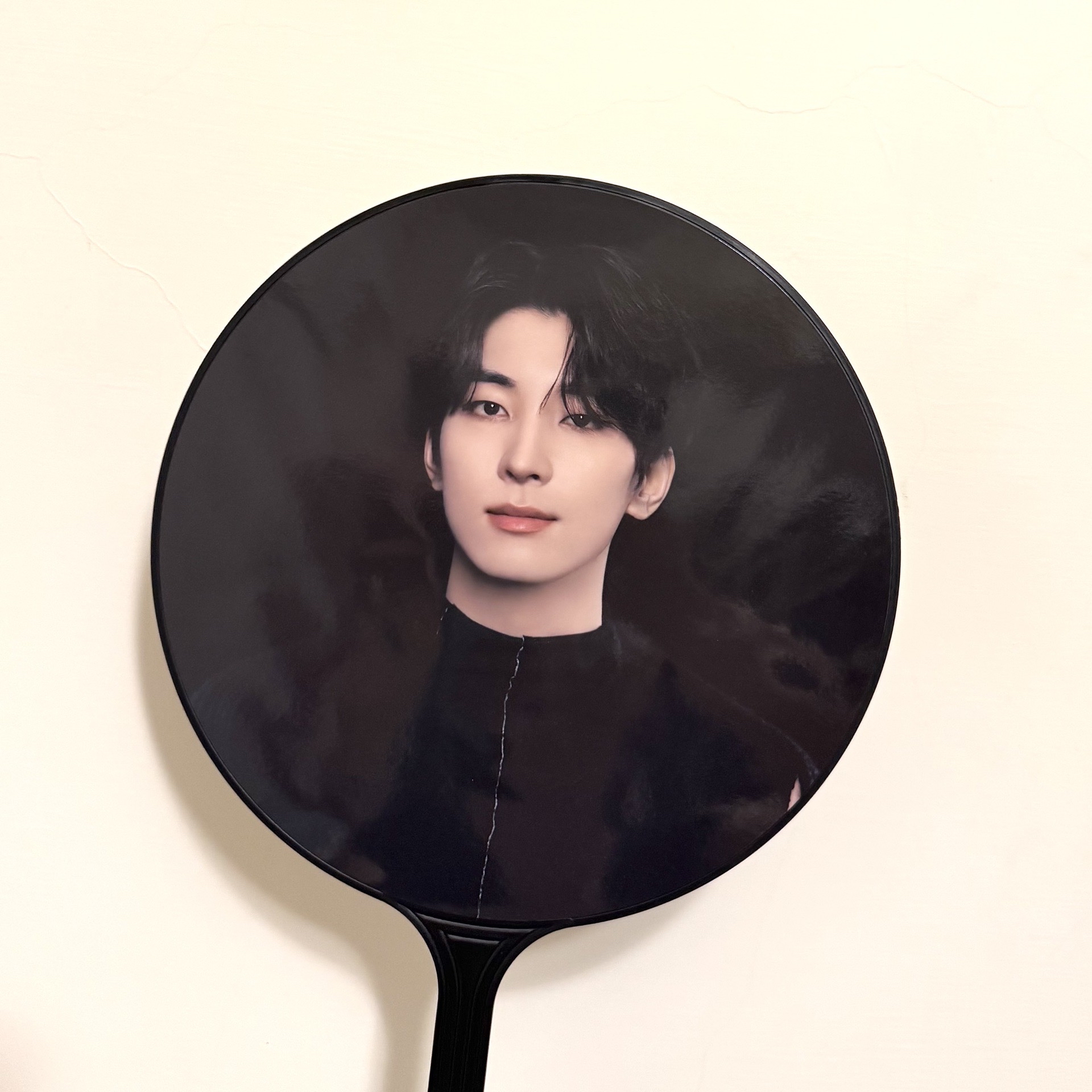 （保留）FA圓黑扇