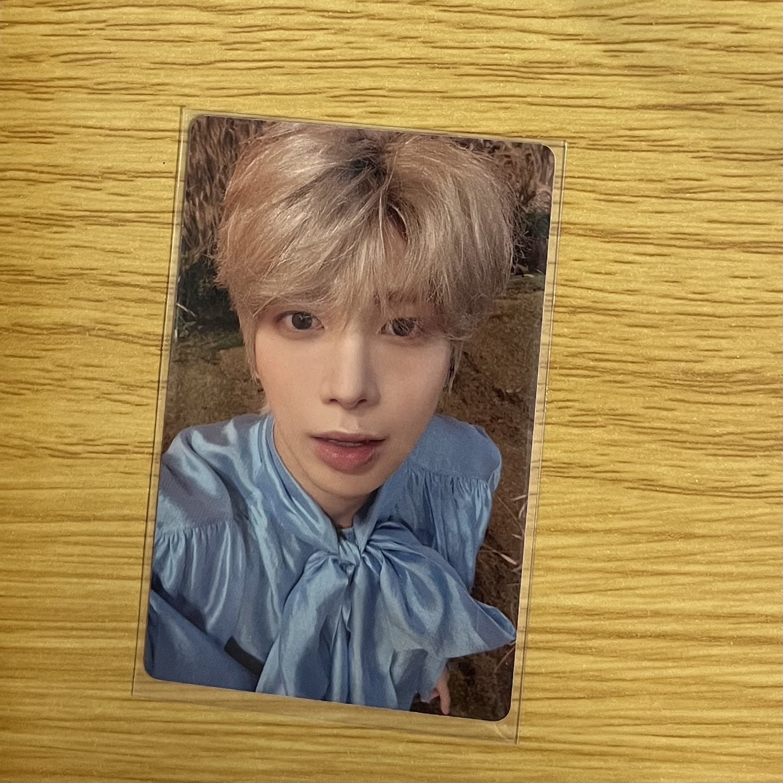 迷六單封 Light版 太顯專卡