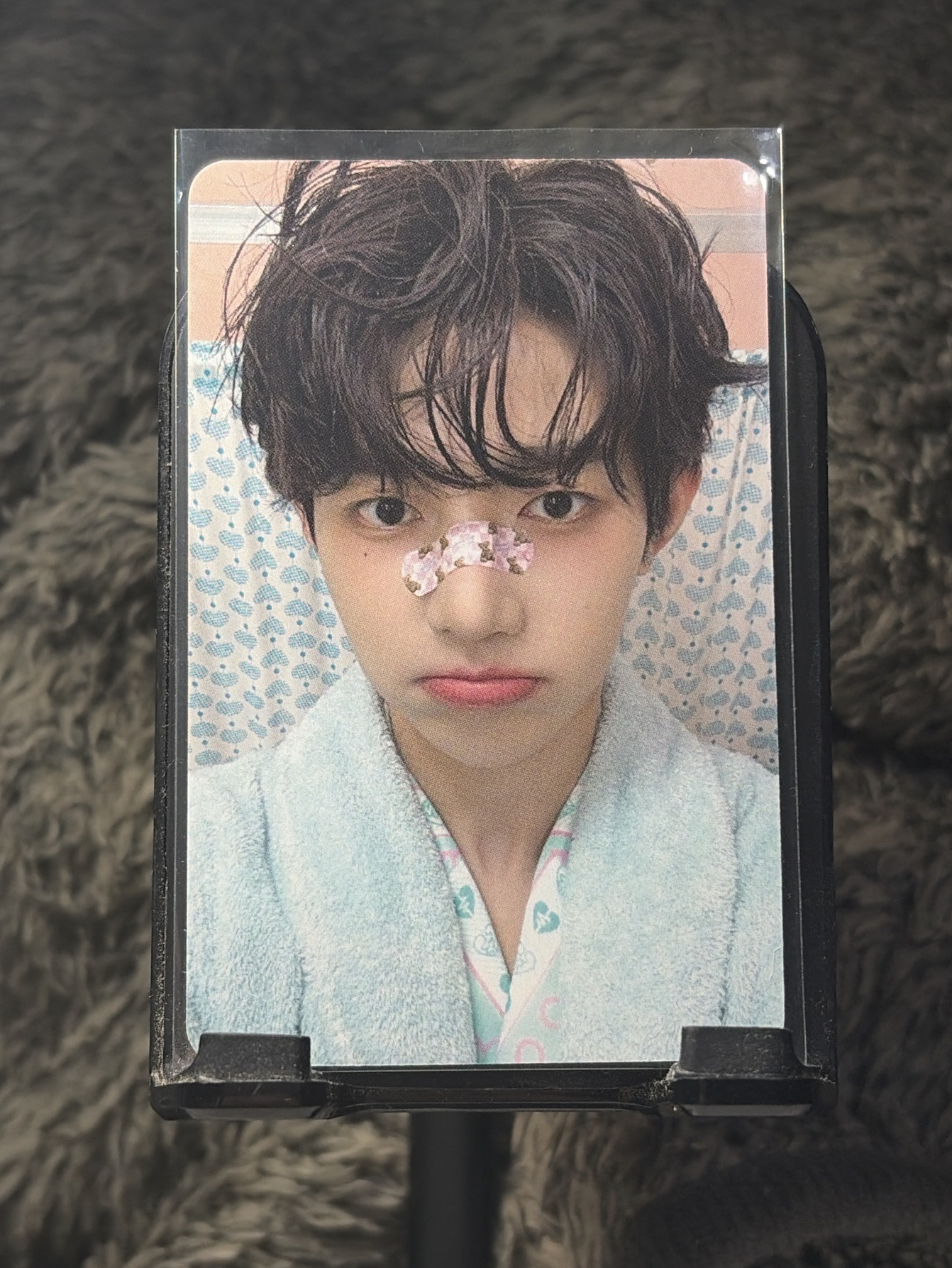 迷五 章昊 am動物創可貼