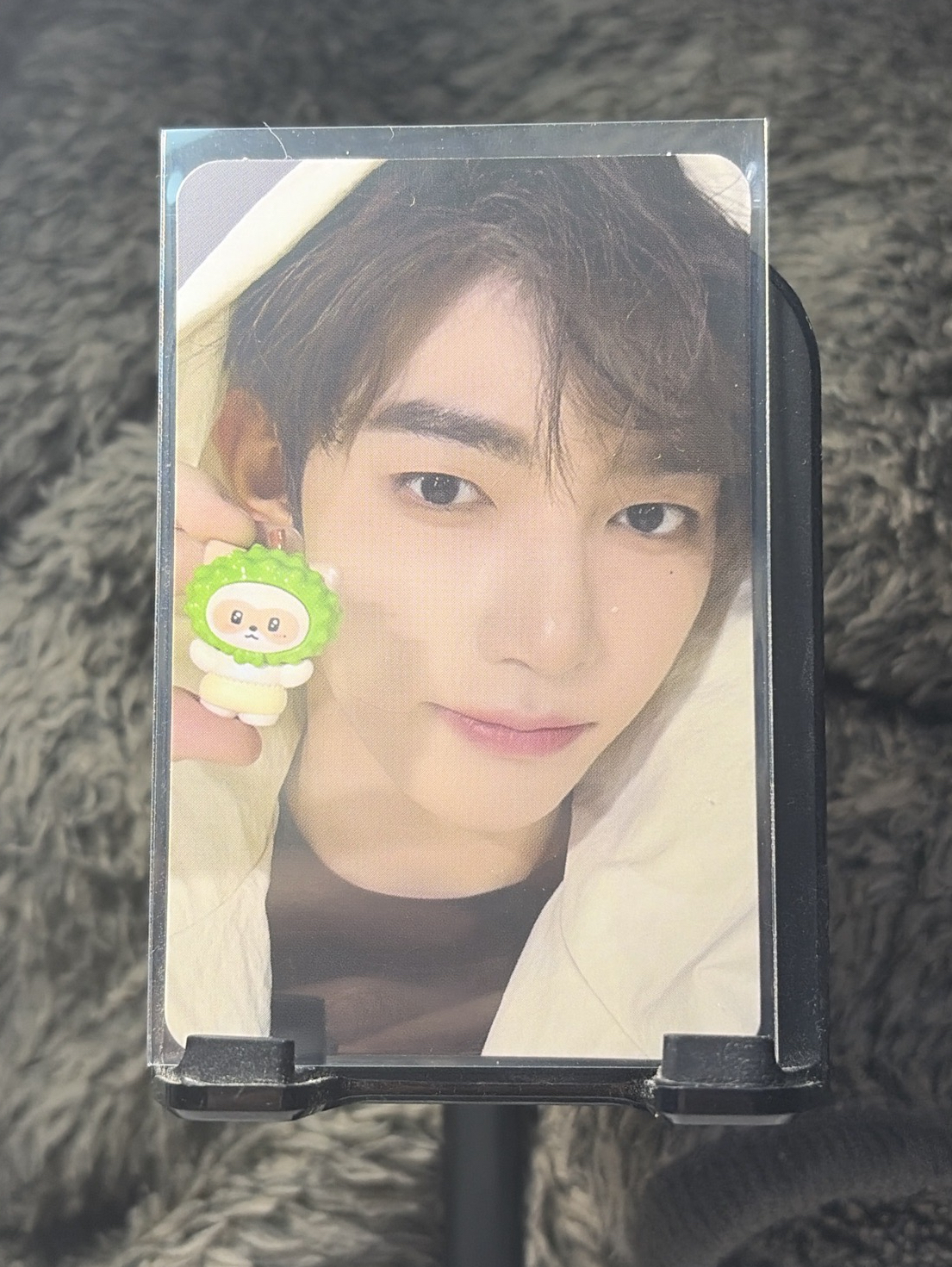 zeroni滿額卡 章昊 公仔zeroni