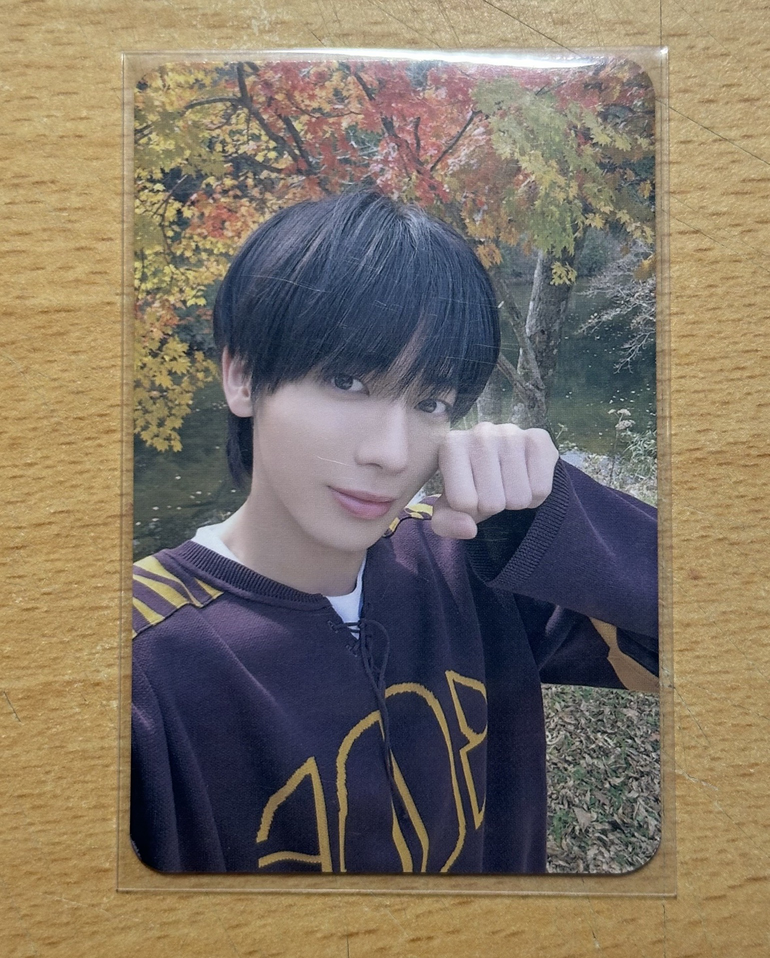 喵你一拳/TXT太顯中背