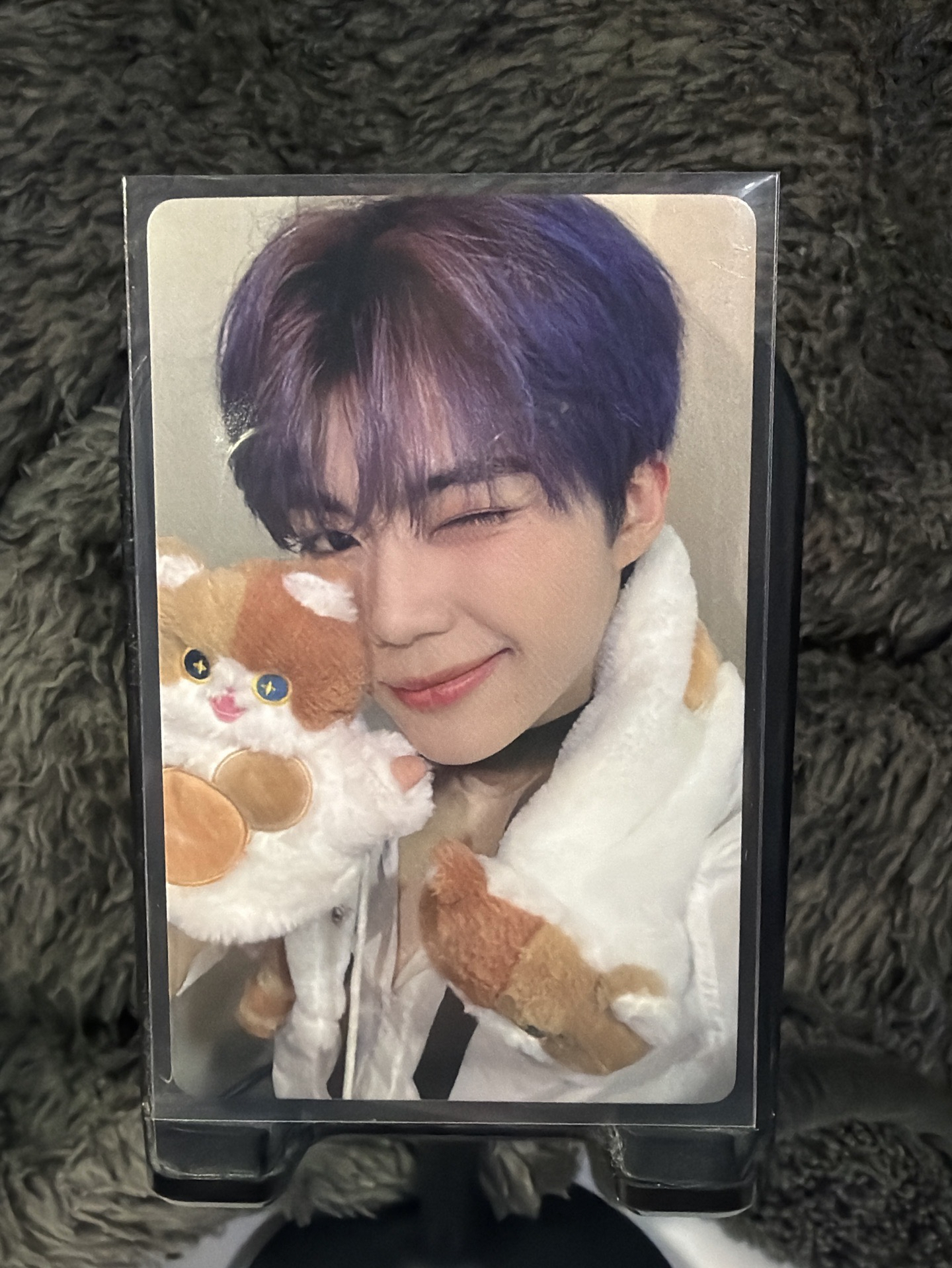 迷四 朴乾旭 yzy胖貓 中文卡背