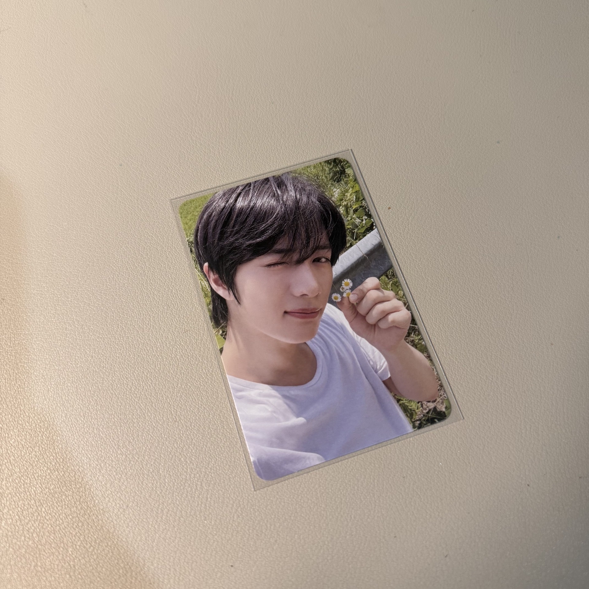 杋圭手中的小花