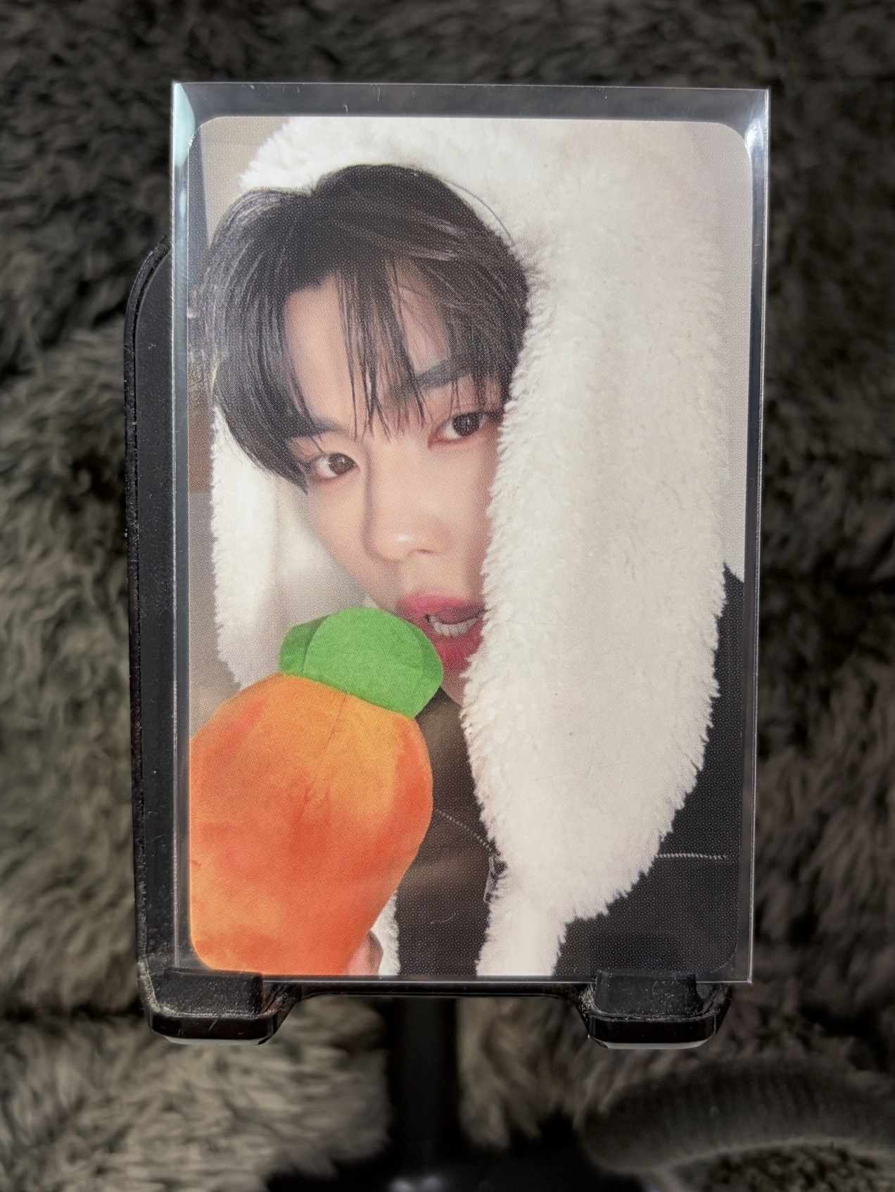 迷五 朴乾旭 ms兔毯