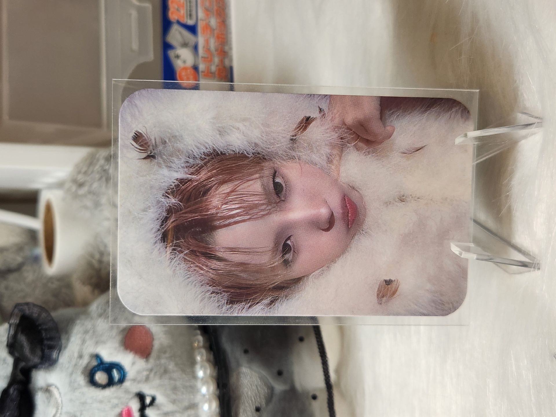 someone We are入場卡