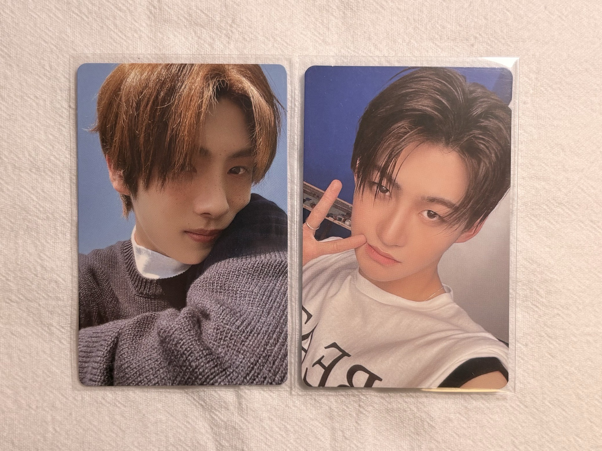 韓志薰崔英宰小卡