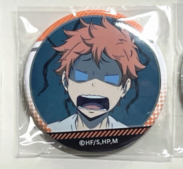 日向個人池徽章