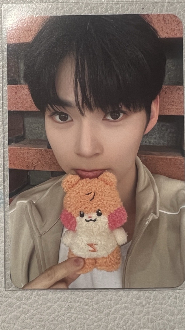 zerobaseone 成韓彬 盒娃卡 小卡 zeroni週邊卡